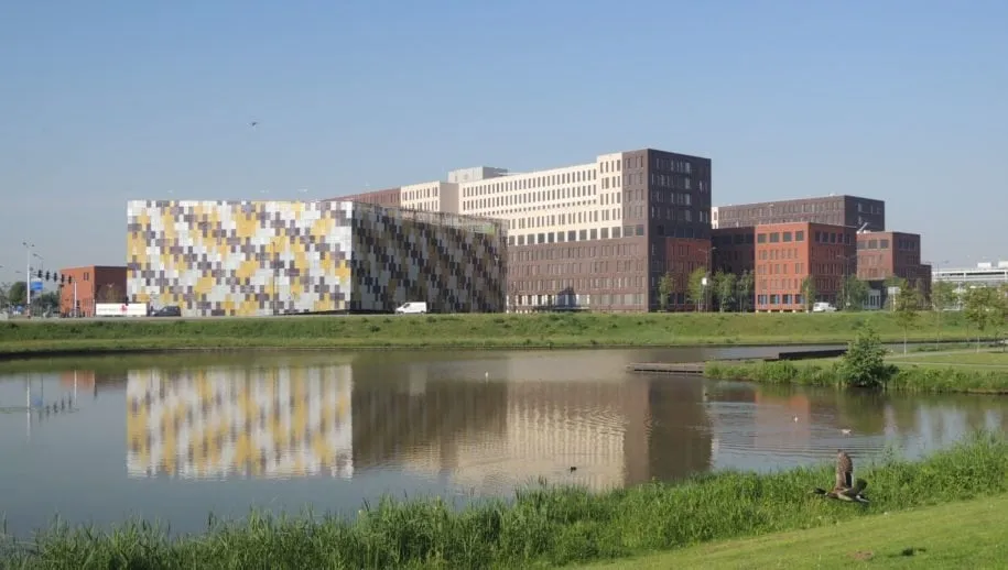 00 jbz divers 2 915x518