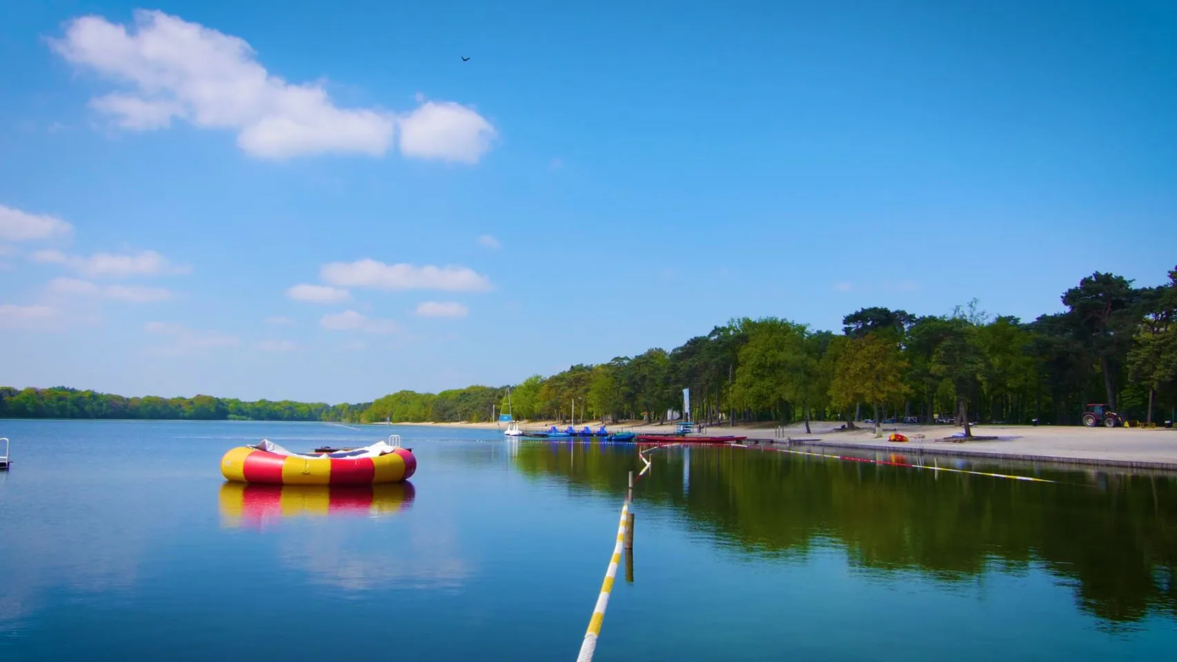 116884287 3511961675523314 337982274746900538 o