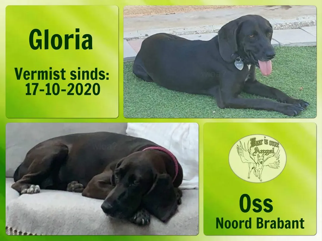 121977040 3663802426988487 8978363763143925587 o