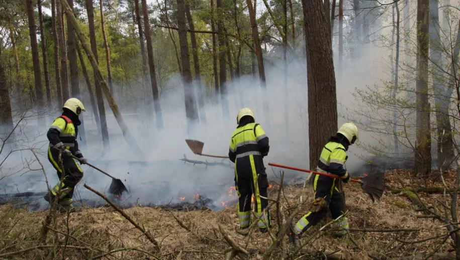 1555075429 picsay 915x518