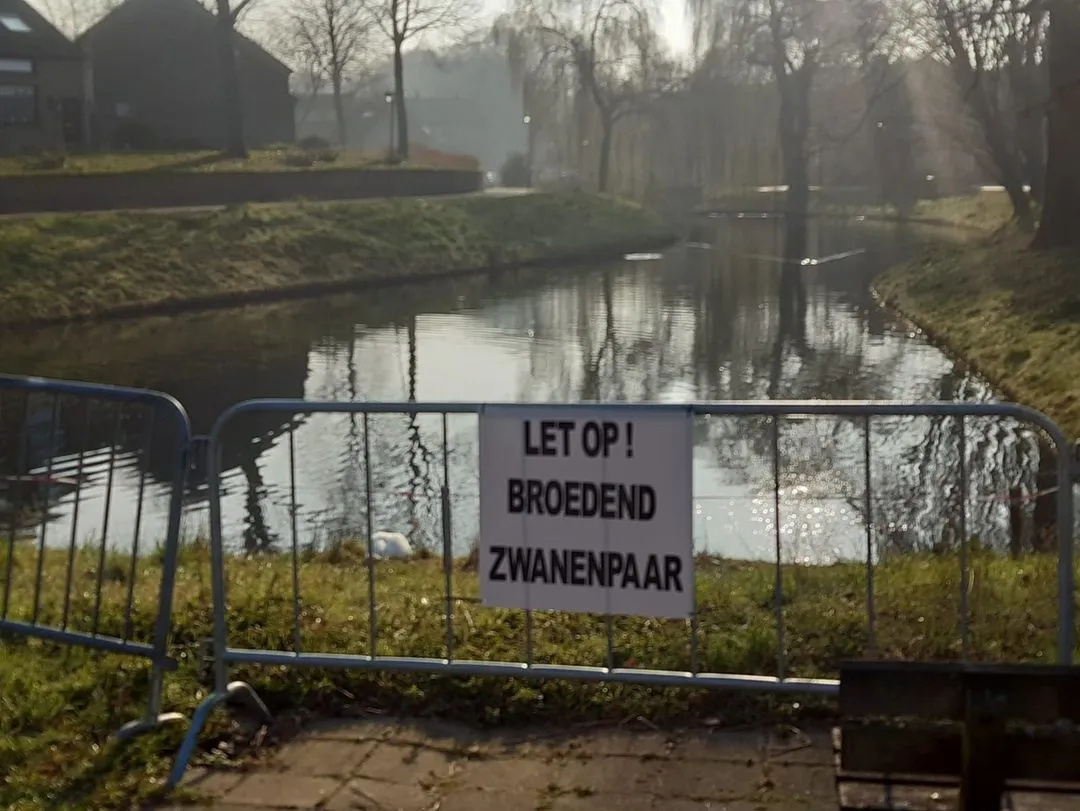 164472037 4187421841310624 1546969359339515705 o