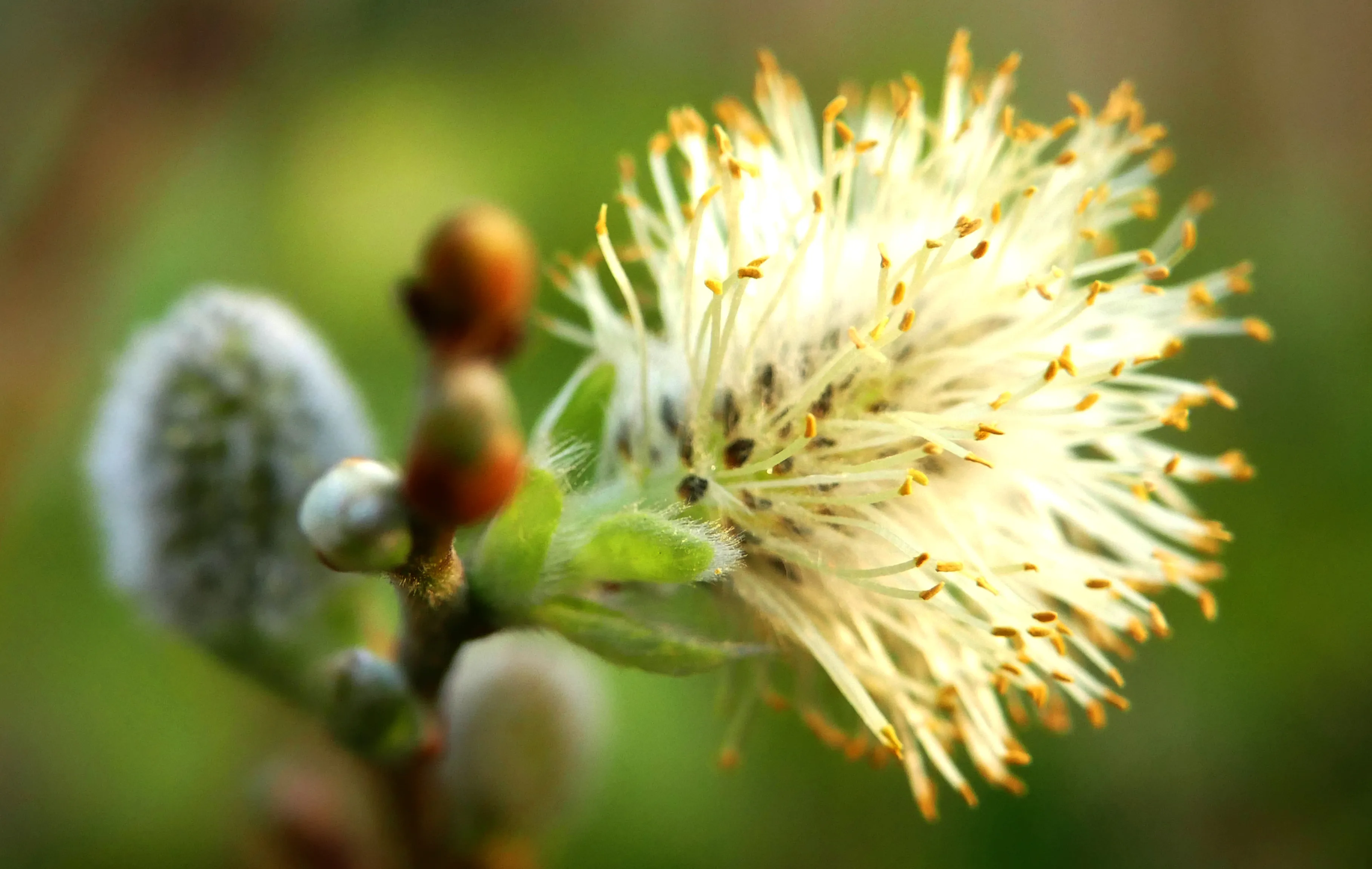 190516 fotografieworkshop