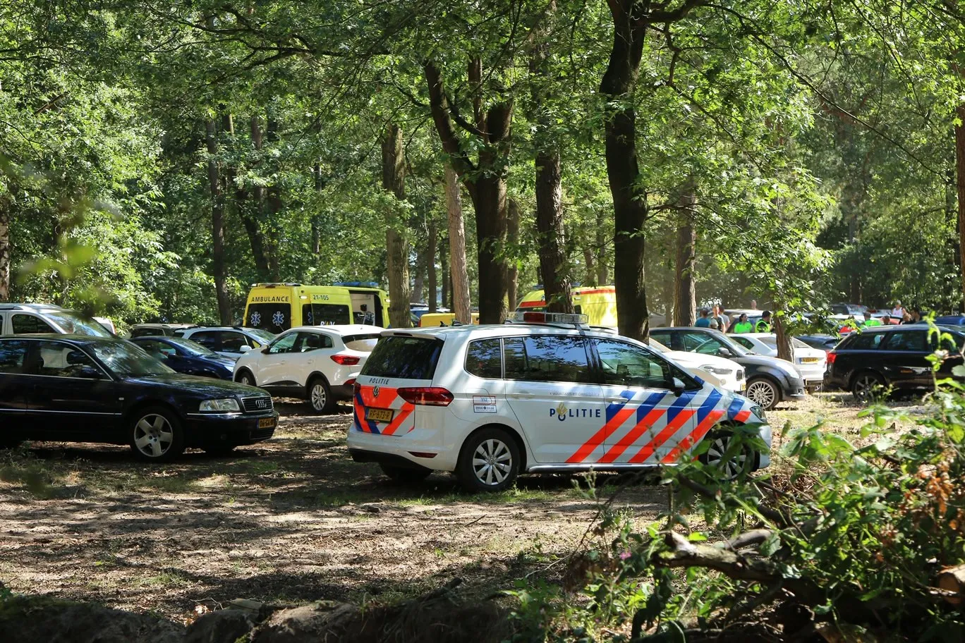 20190723155226 img 0111