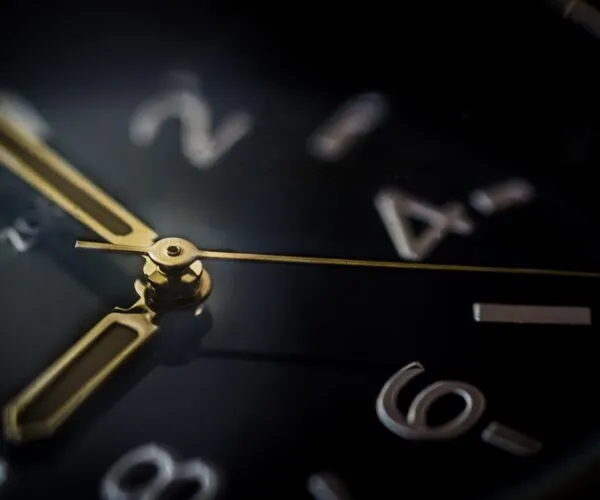 21 00 rudy and peter skitterians via pixabay 600x500 1