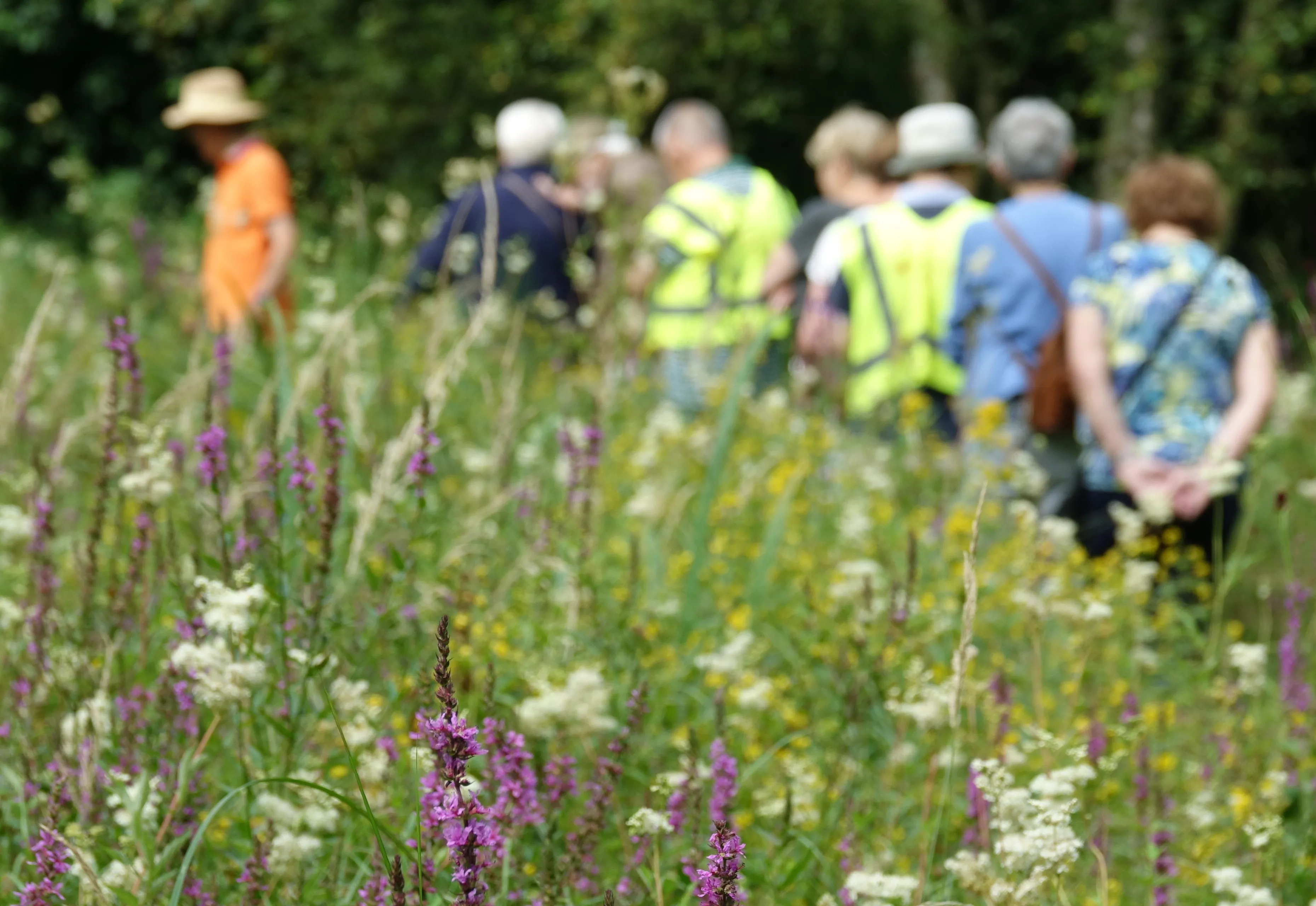 210722 fietstocht heemtuin db 3869