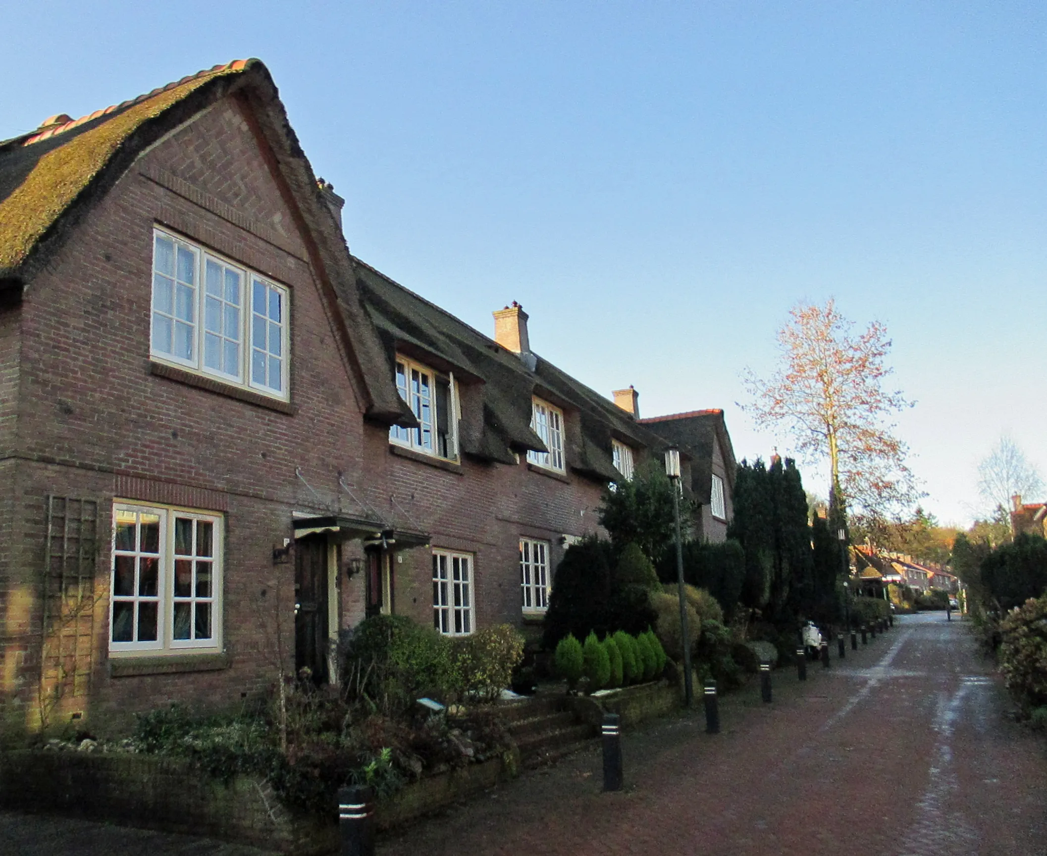 211208 jef heveadorp 08