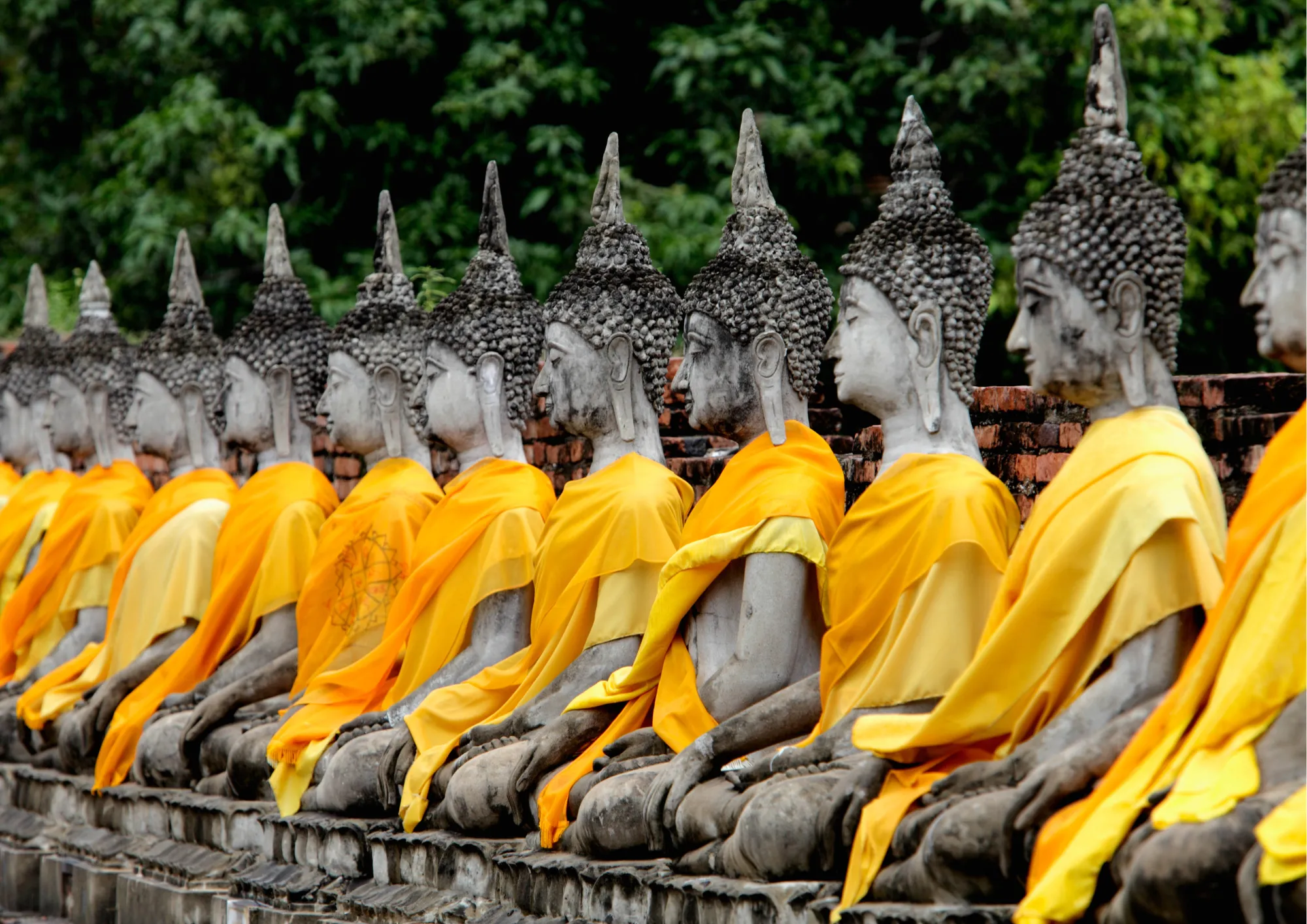 231012 film thailand gerrie bewerkt 1