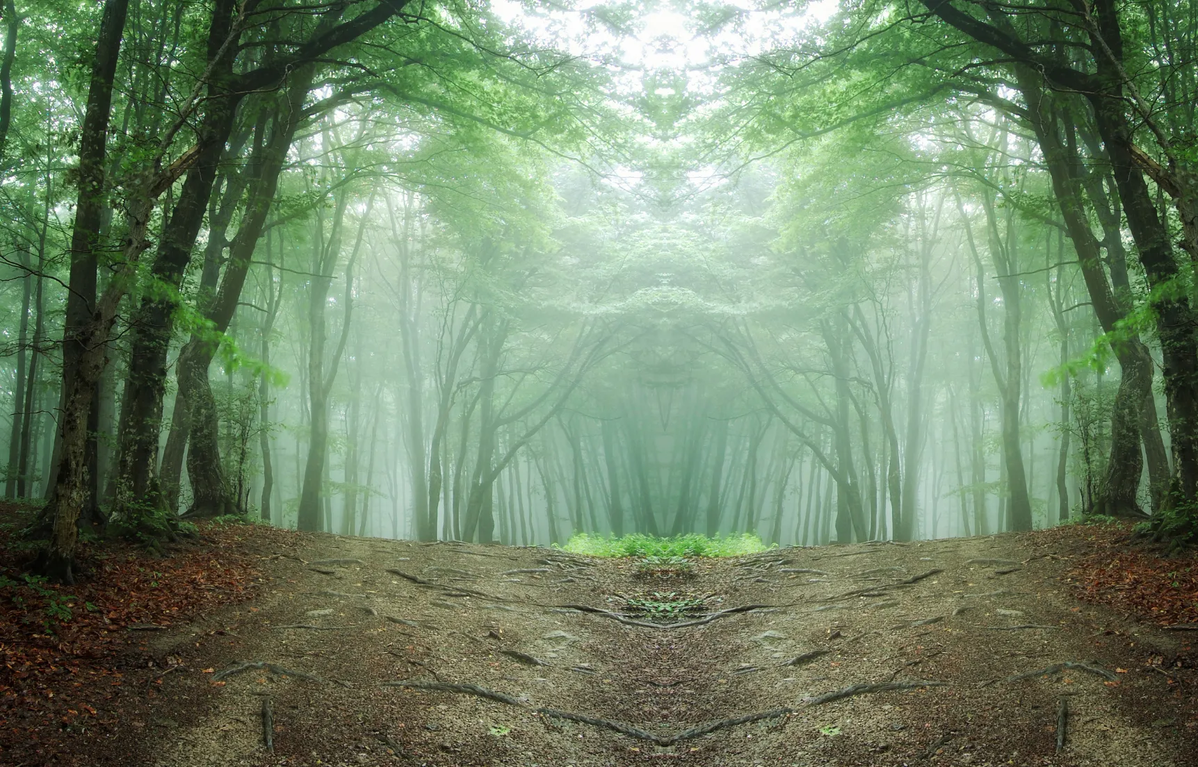 231022 mm drie jaargetijden joop