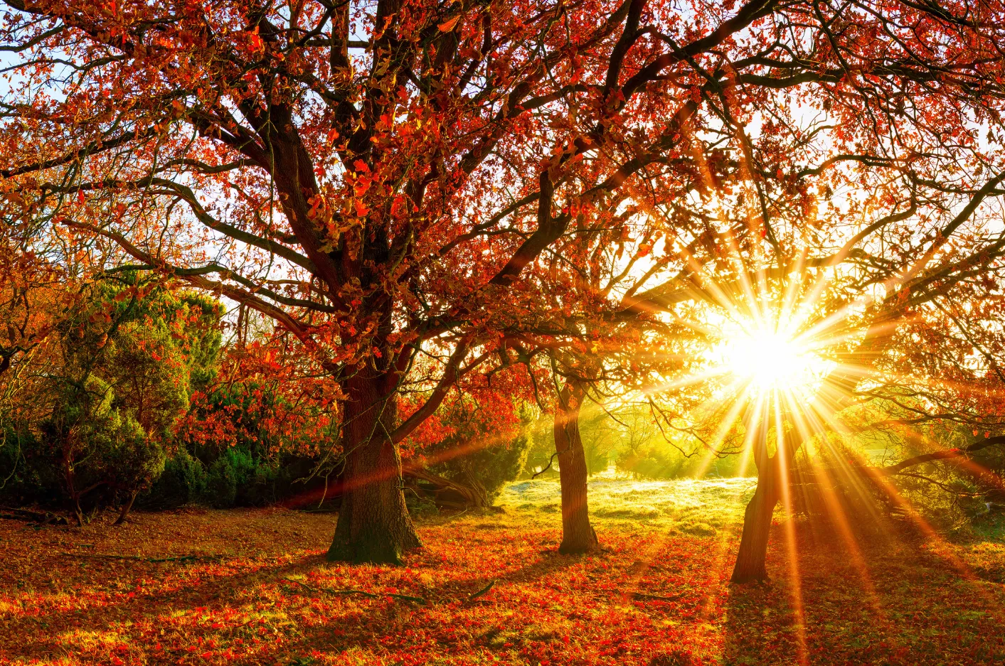 231119 mm geen thema kees