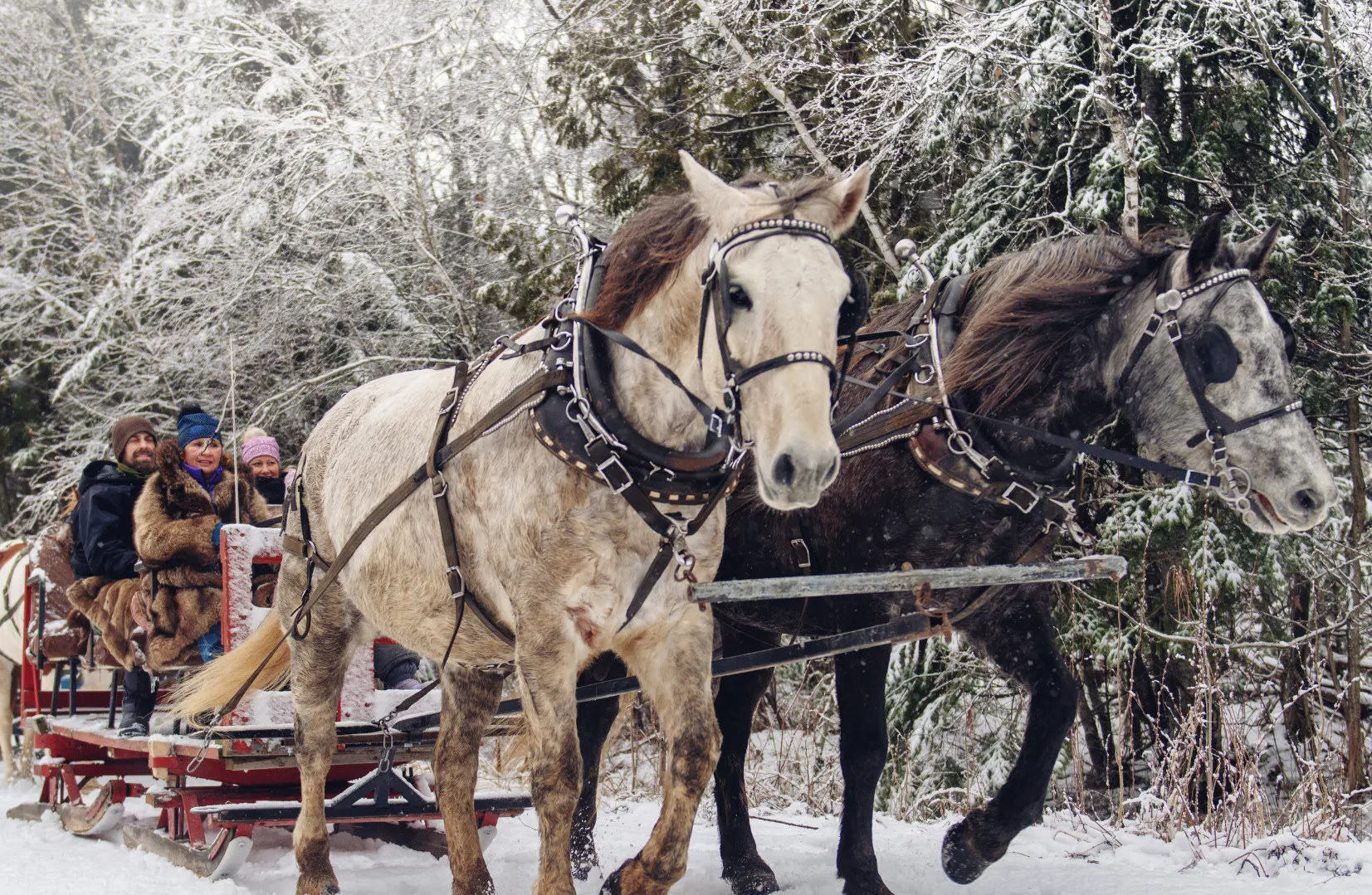 240225 mm winter kees