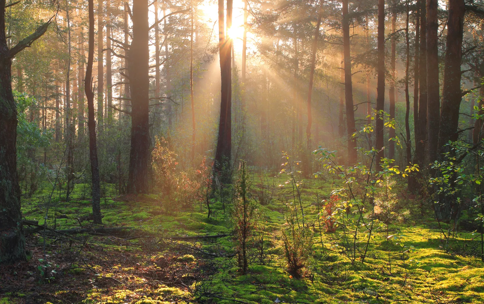 240328 film rr2 eeuwig zingen