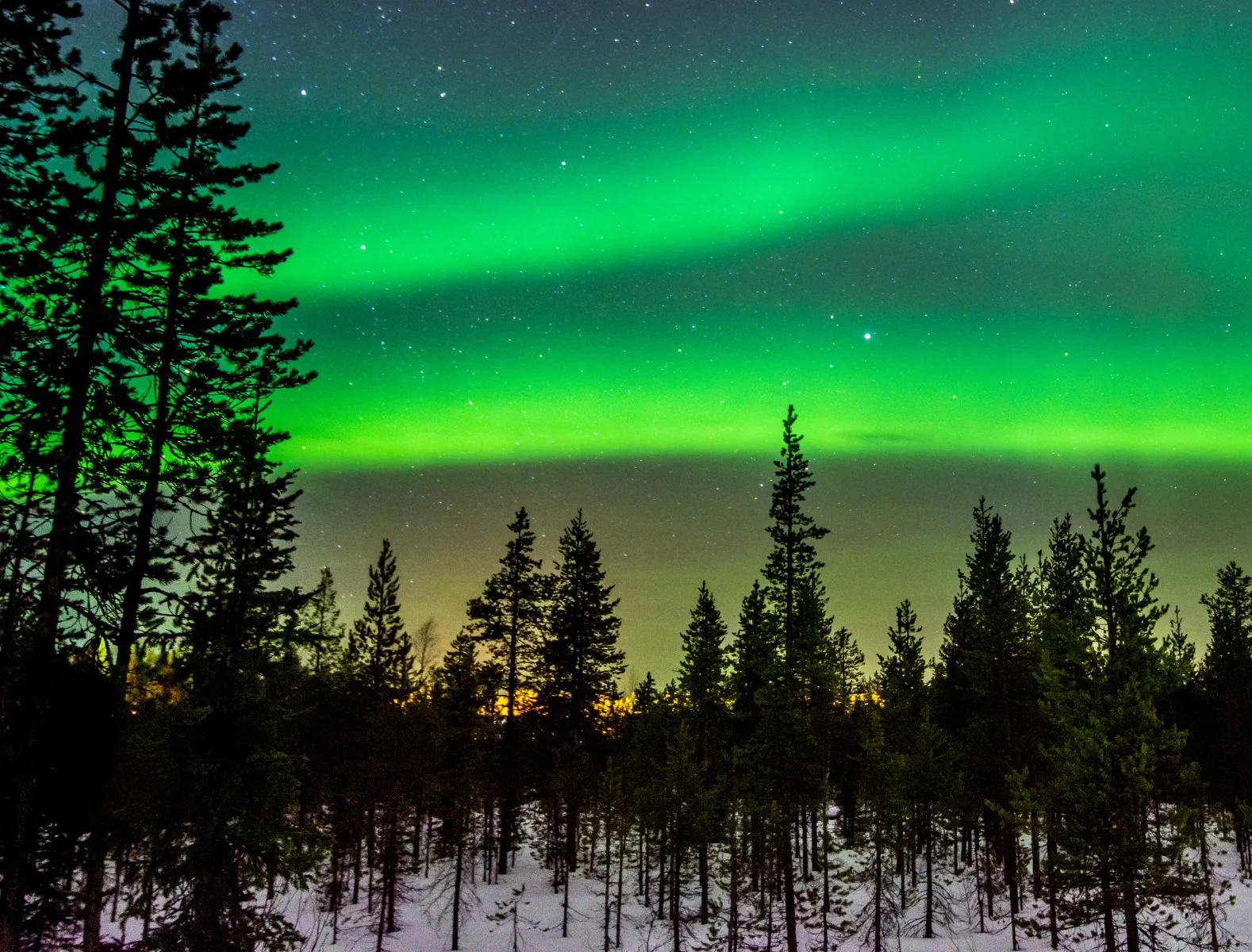 240428 mm muziekfenomenen