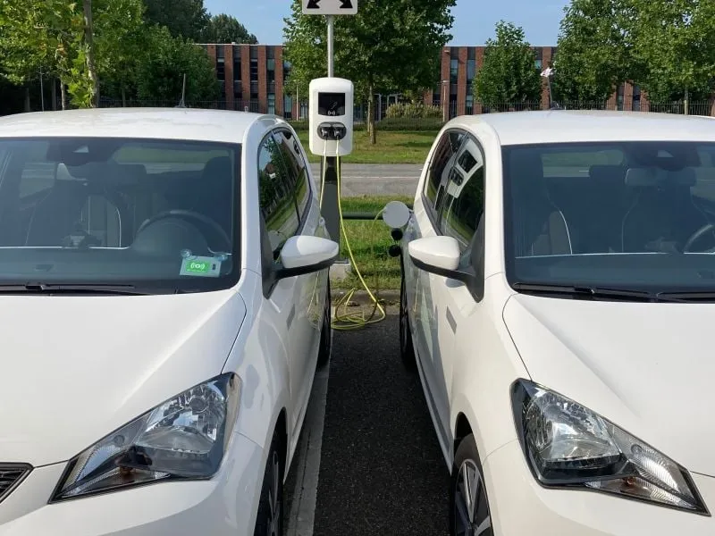 272076716 299821482183876 4954503923061561650 n