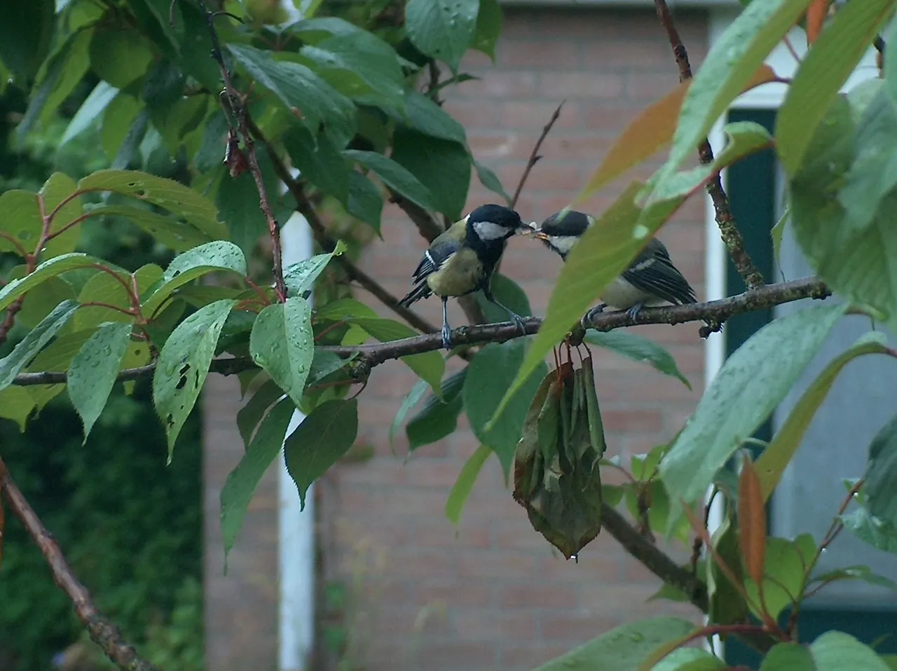 2c3c3048 04f8 4c73 984a 5b9a7f05e4b9