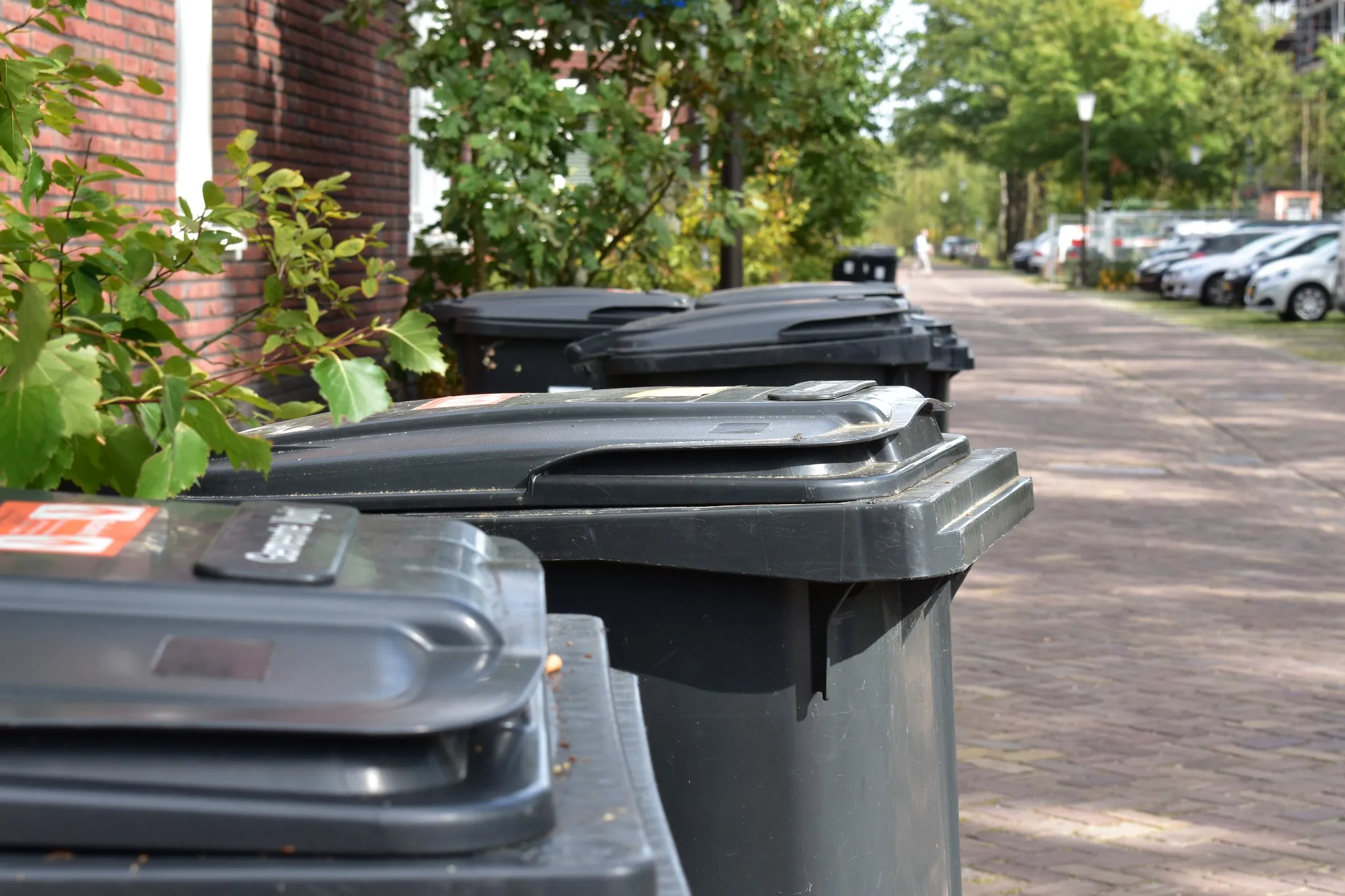 315983356 505963001569722 4466988542128201098 n