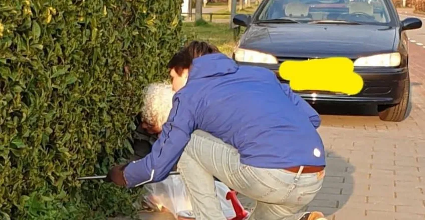 336652652 1344356676355828 5001270874733901874 n