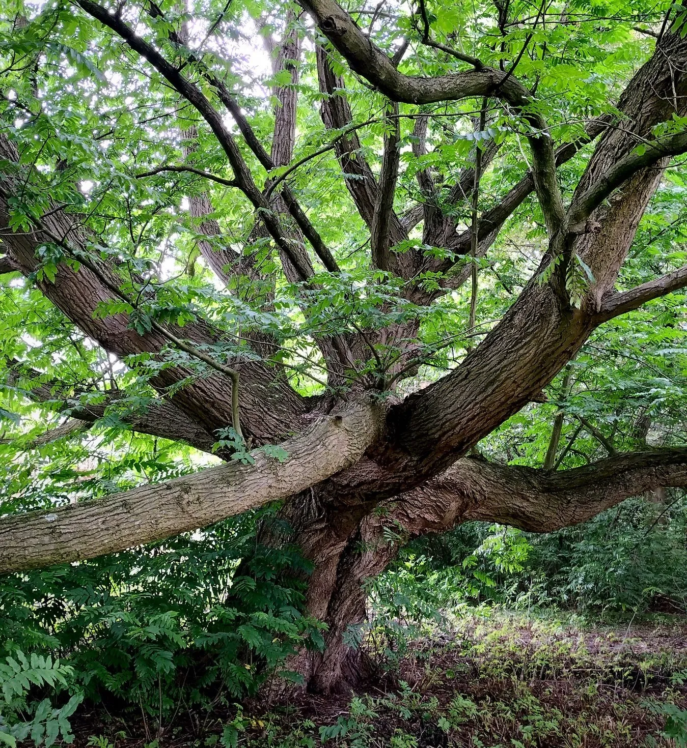 367729138 681418587357495 16046474014793040 n