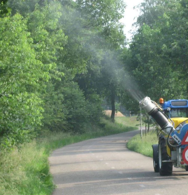 58374841 2448064188579740 9118406442049601536 n