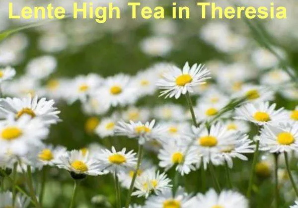 58876433 2444967095556116 2407698811473362944 n