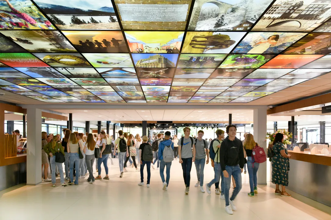 66afe395 d3e4 4453 9488 045f2a6f3e68 1 105 c 1