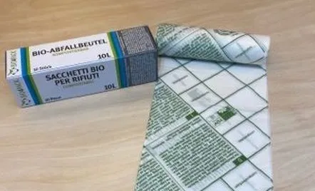 82780252 3017888374930649 4200002188946178048 n