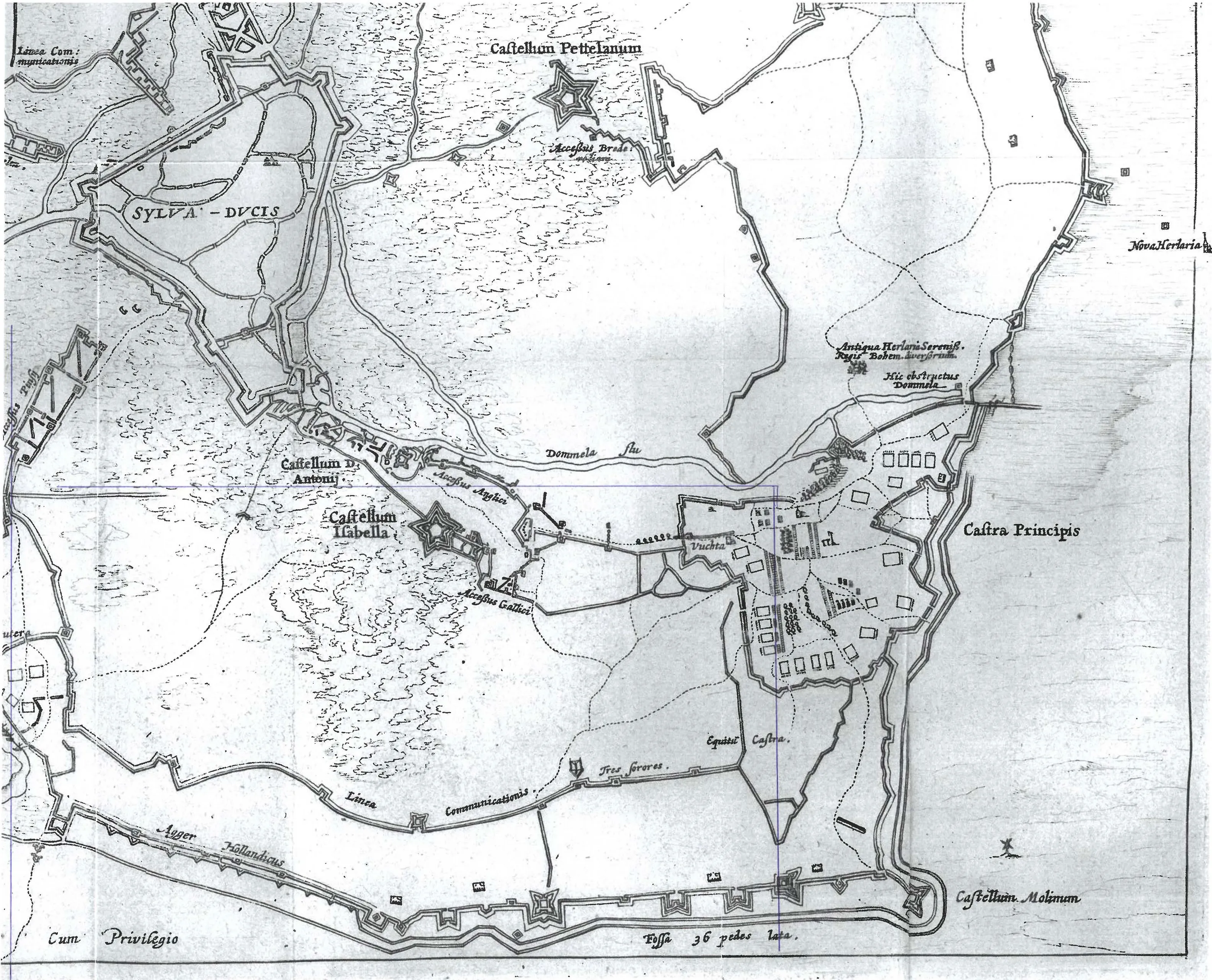 afbeelding de hollandse dijk