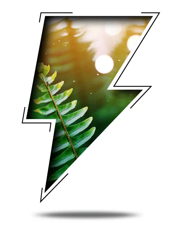 afbeelding huis73 kunstprijs 2024