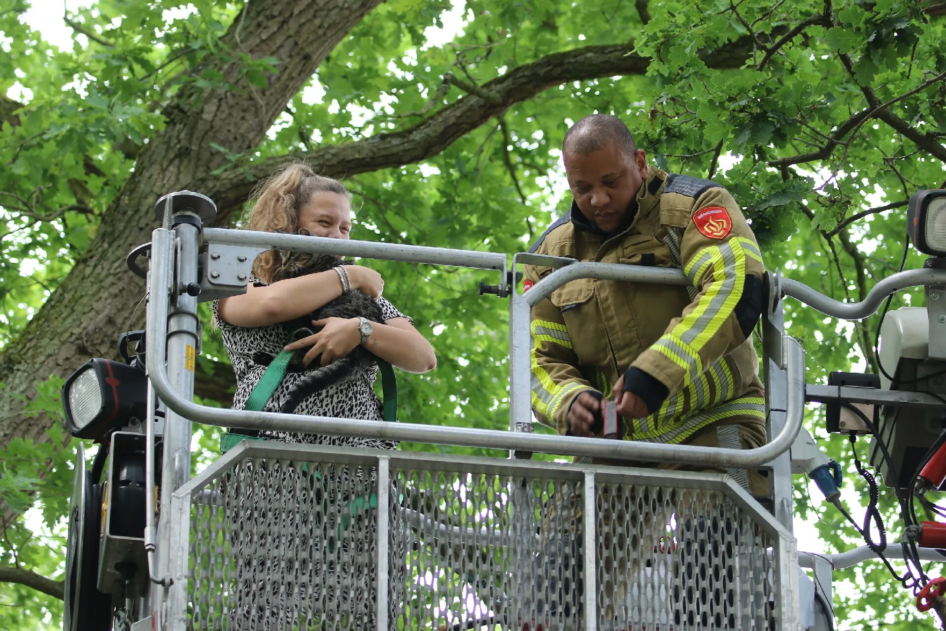 bart meesters 20210620105244 2