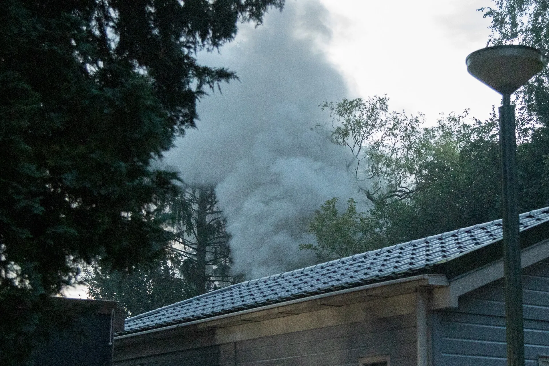 bart meesters 20210815051551 0