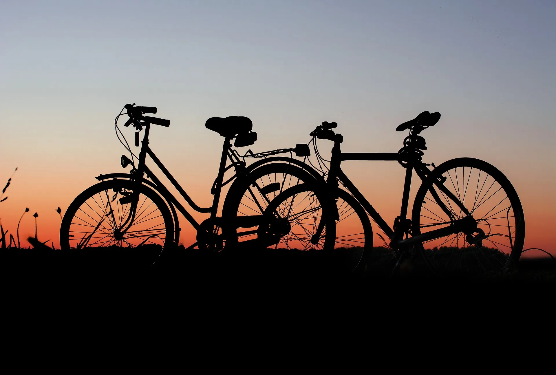 bicycles 1906412 1920