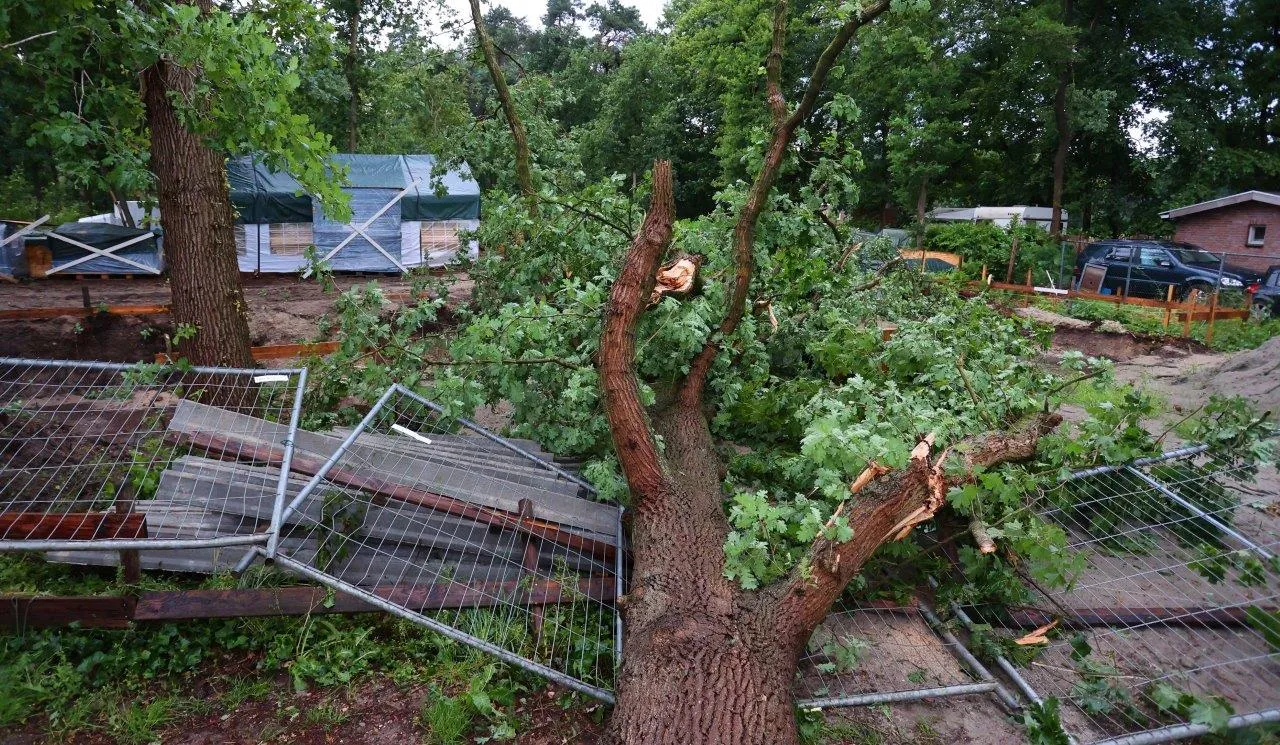 boom broeksteeg haaren 5