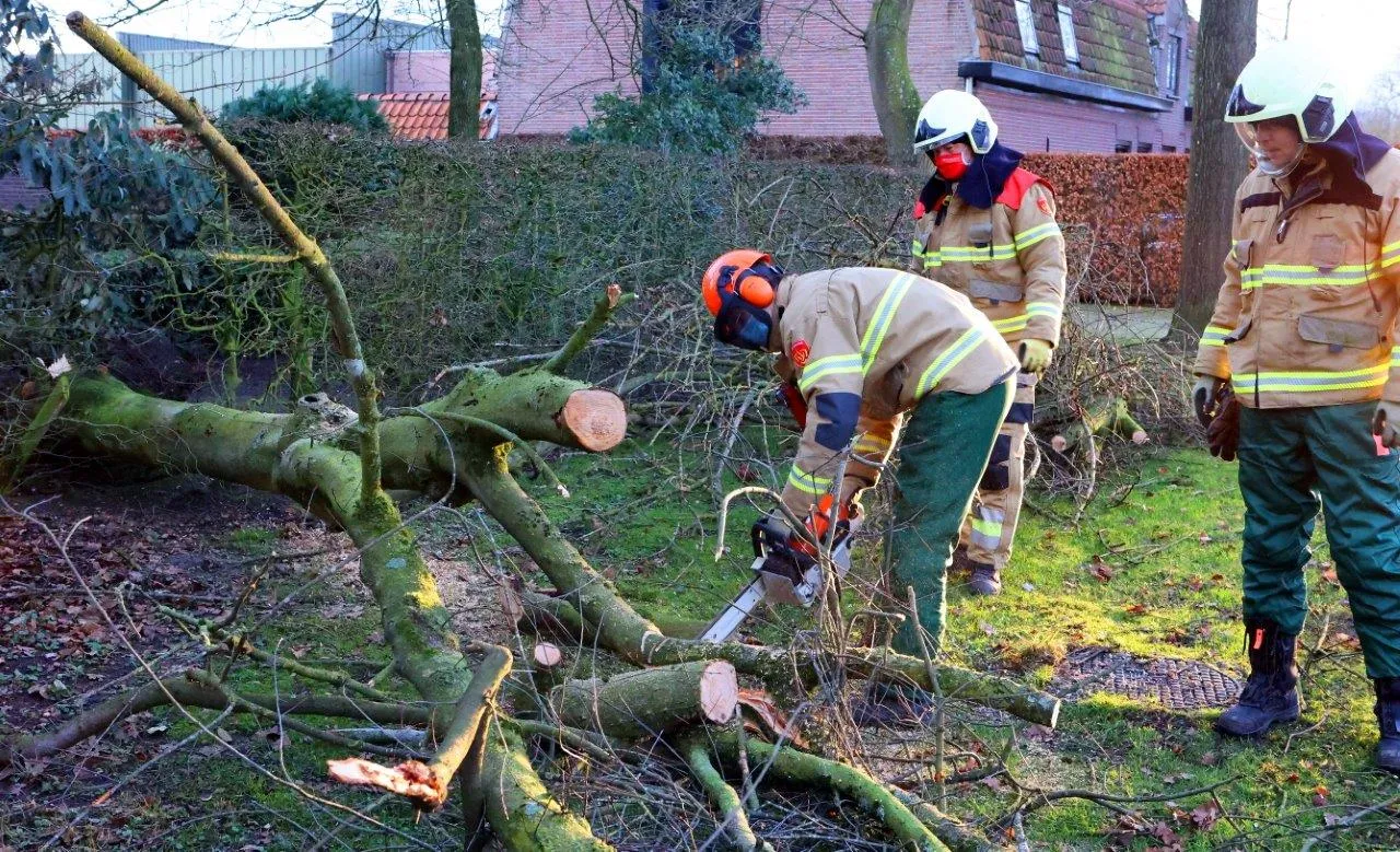 boom over de weg de dijk helvoirt 3