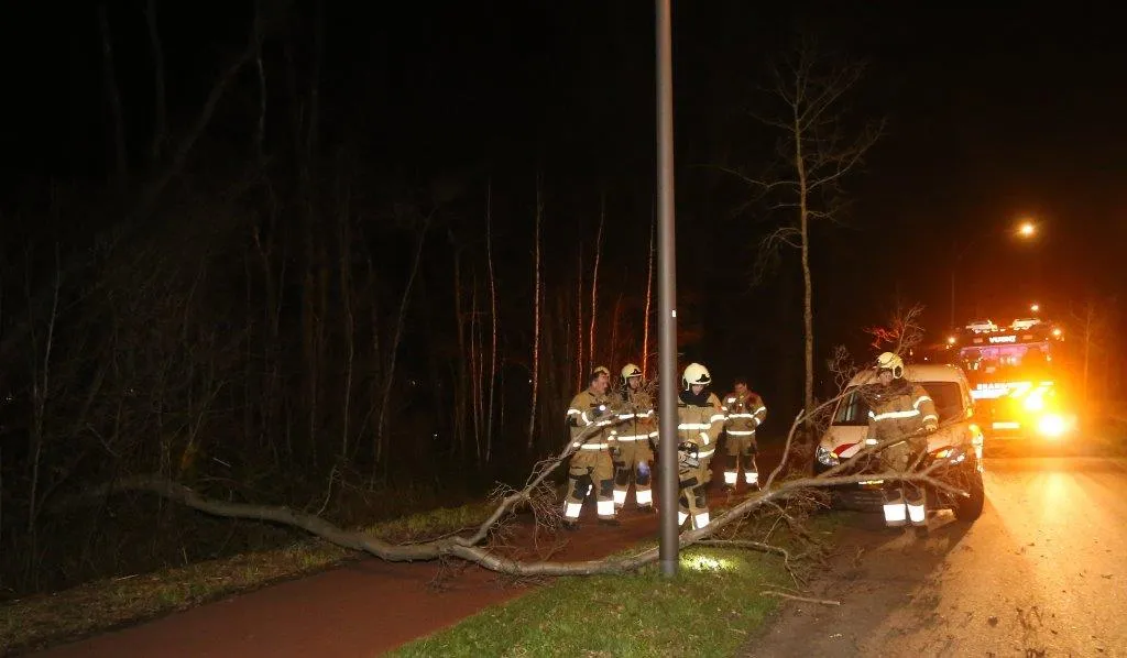 boom over de weg postweg vught 3