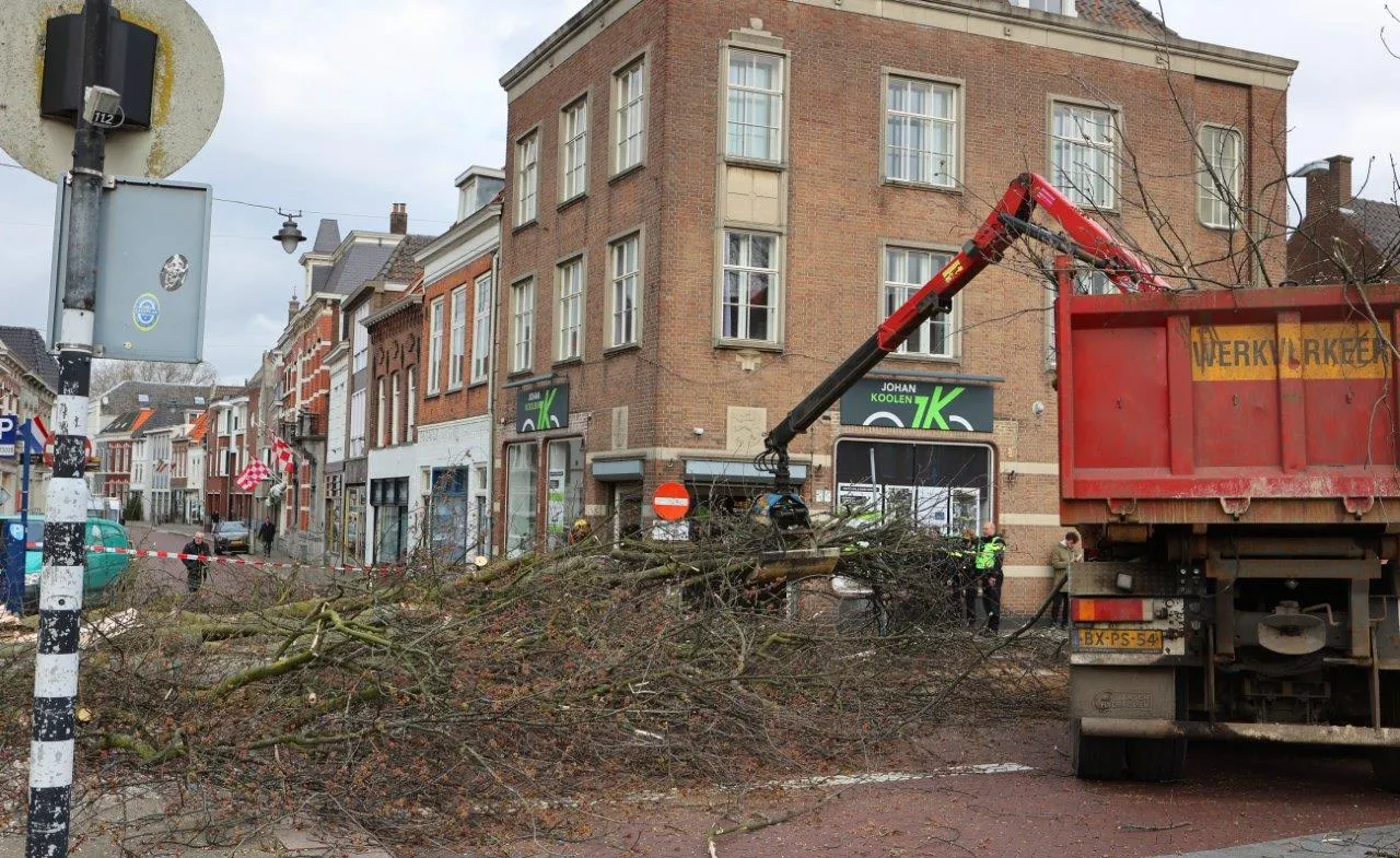 boom valt op vrouw en kind den bosch 5