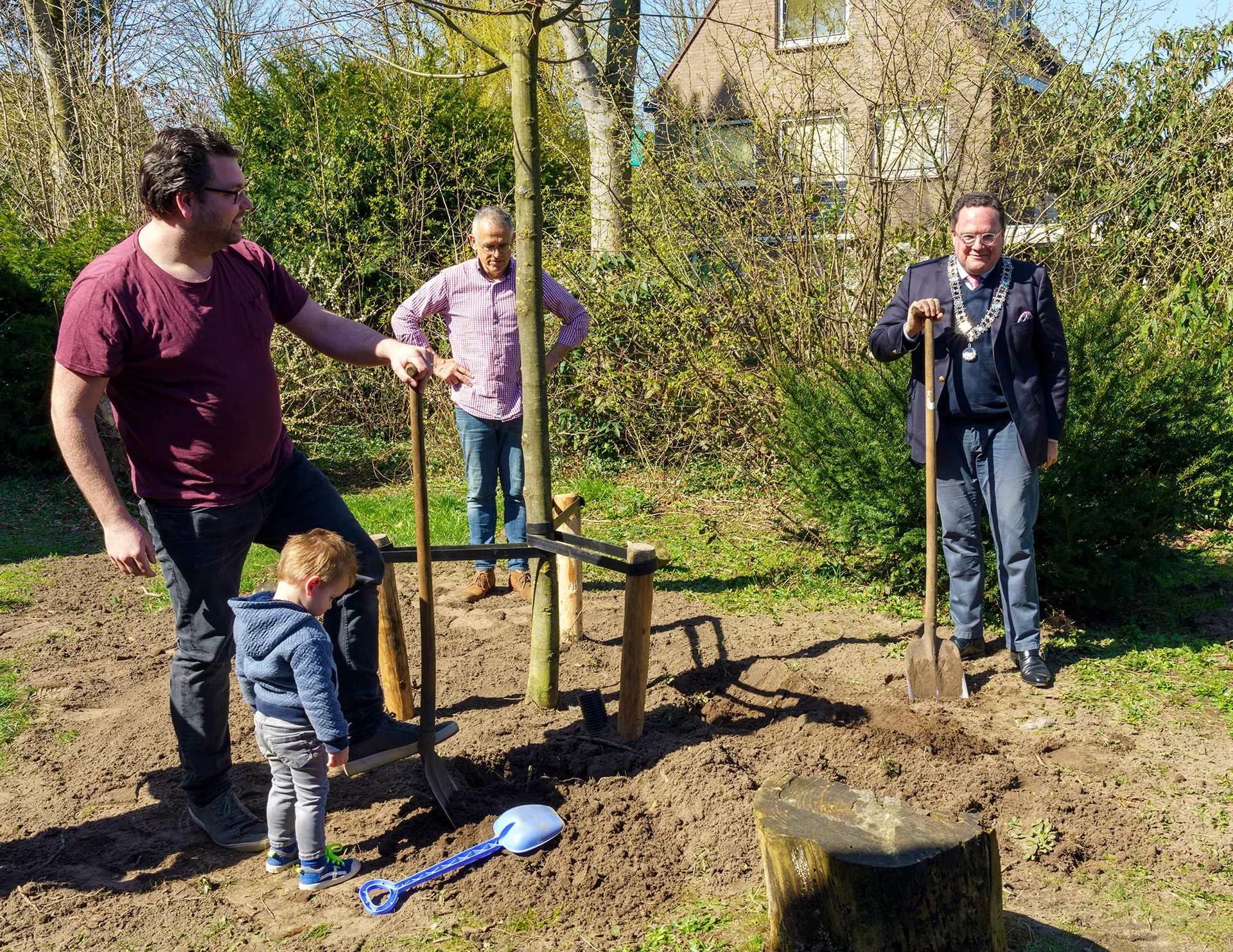 boomplant voor aevy 0011