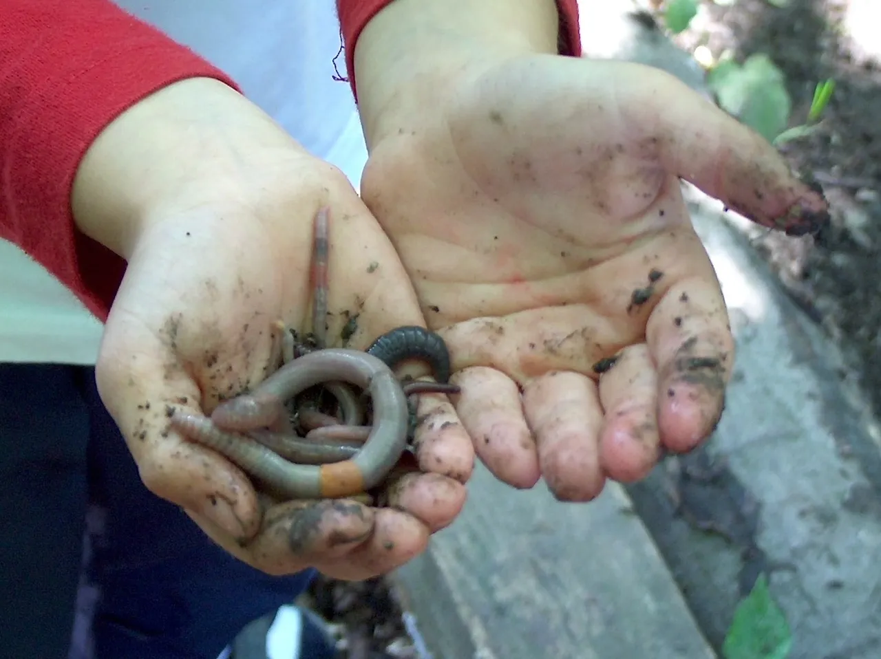 cid 3ae38081 f167 4c6d a3f6 7dd71d9cc73e