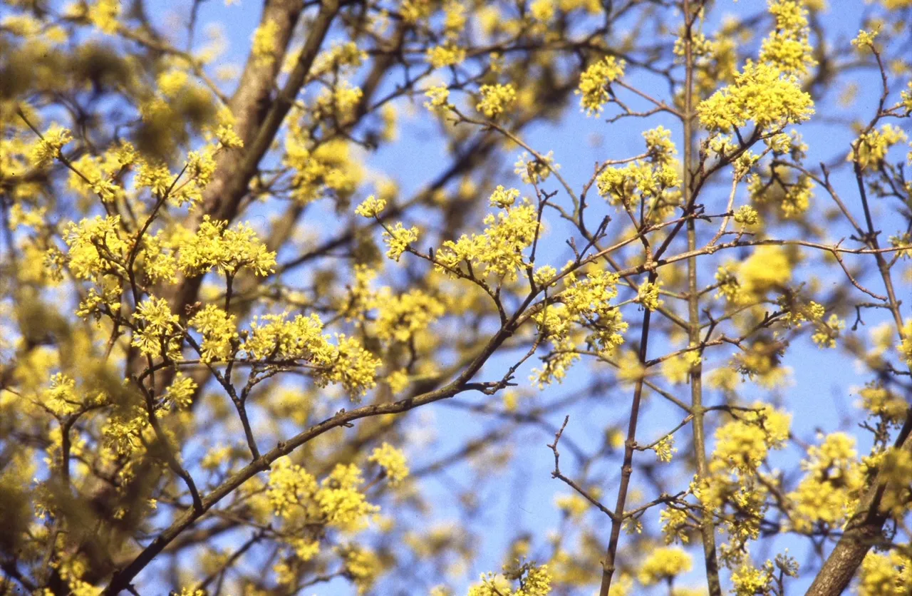 cid 6d7cdfce 6058 4cd9 b558 843ee5be41c0