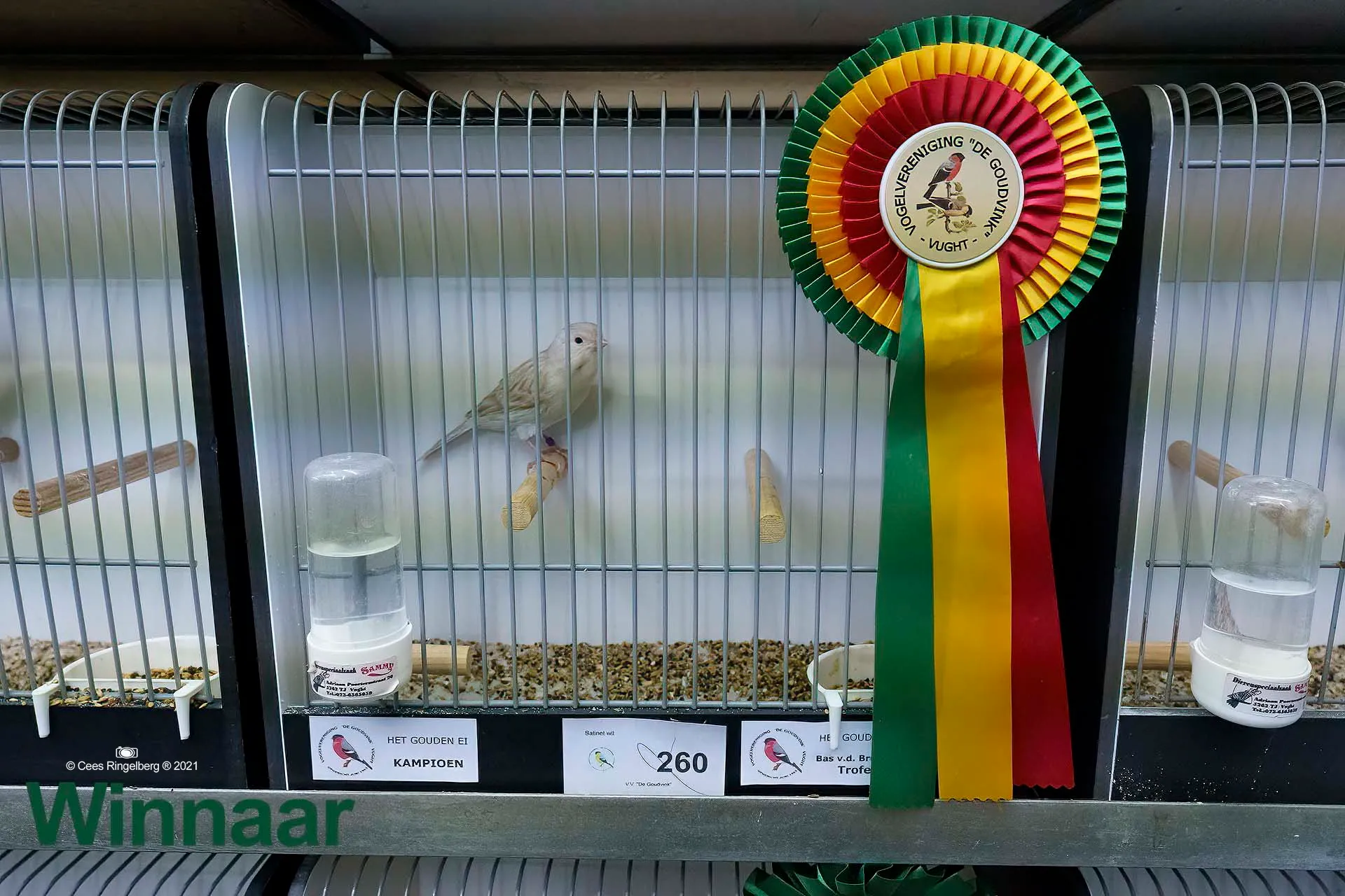 cr de goudvink vught 0026 winnaar