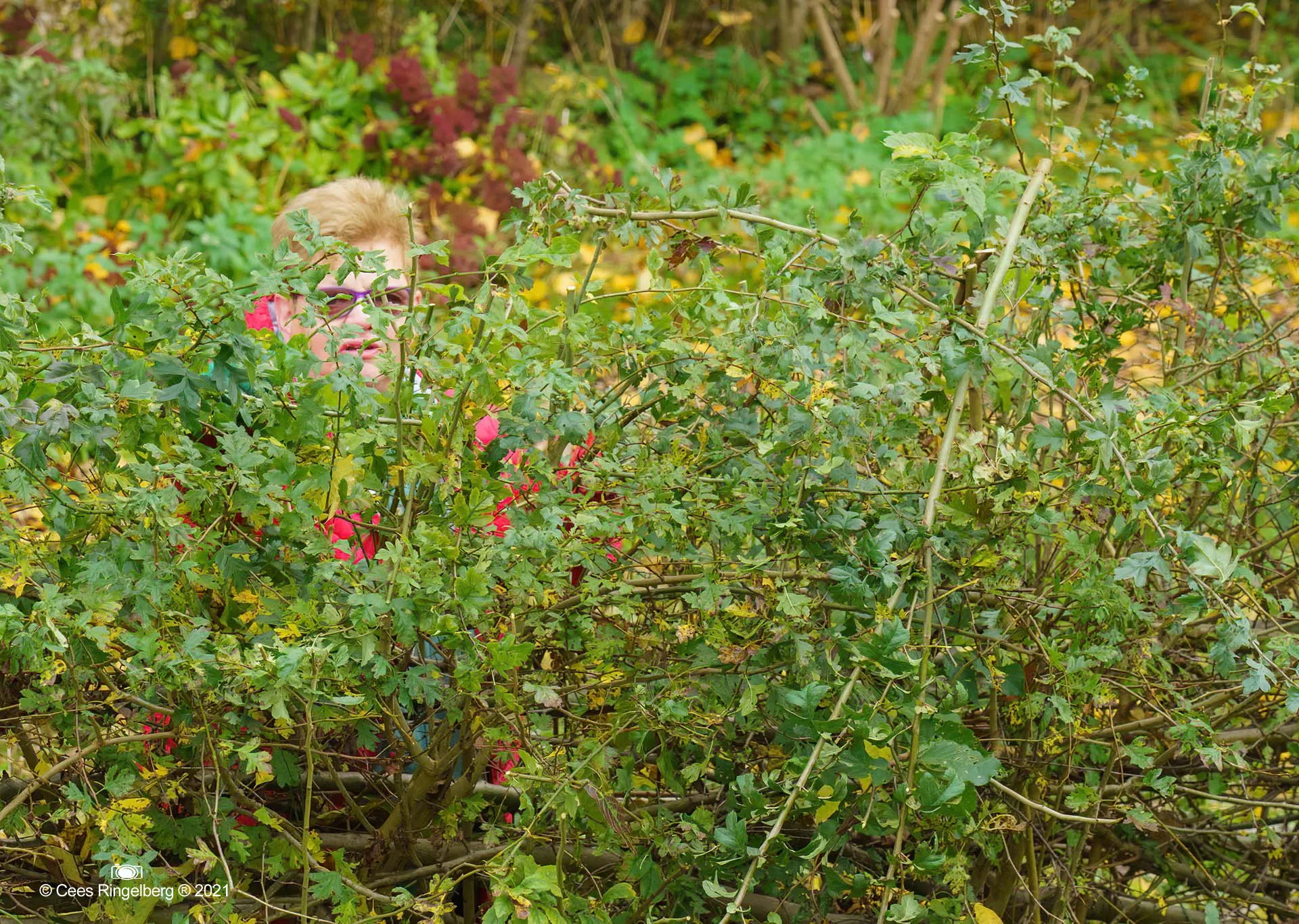 cr natuurwerkdag 013