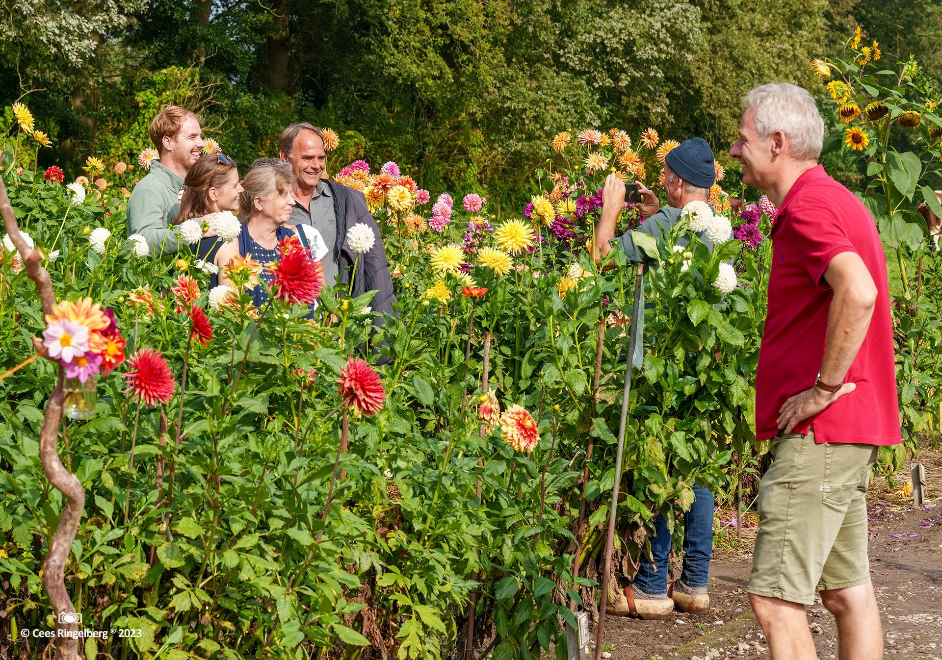 dahliavereniging rosa van lima 2023 0009