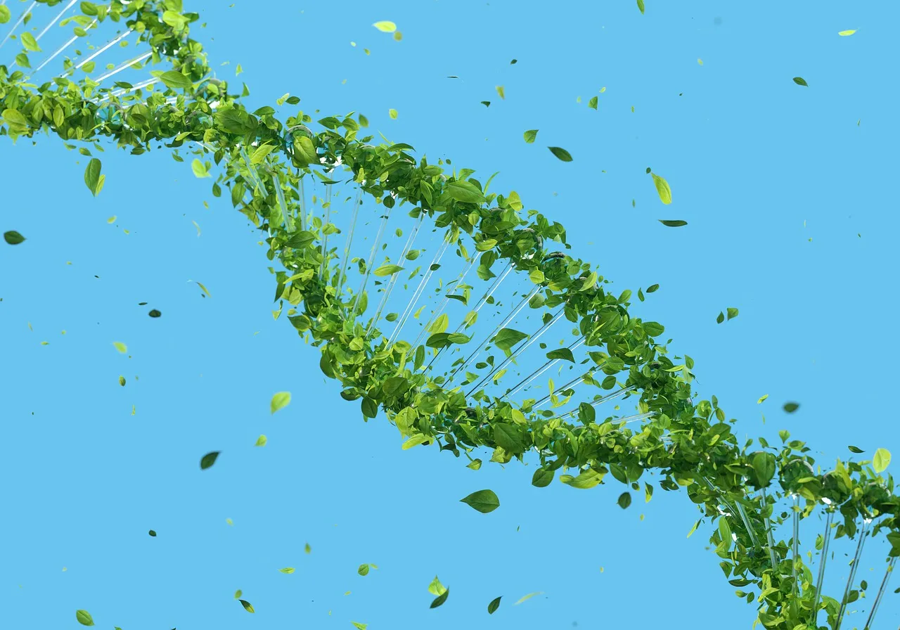 dna 5591477 1280