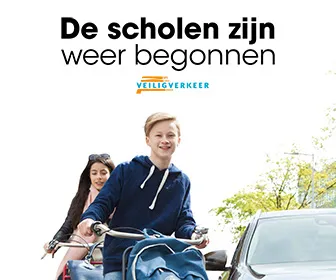 dszwb banner rectangle 336x280