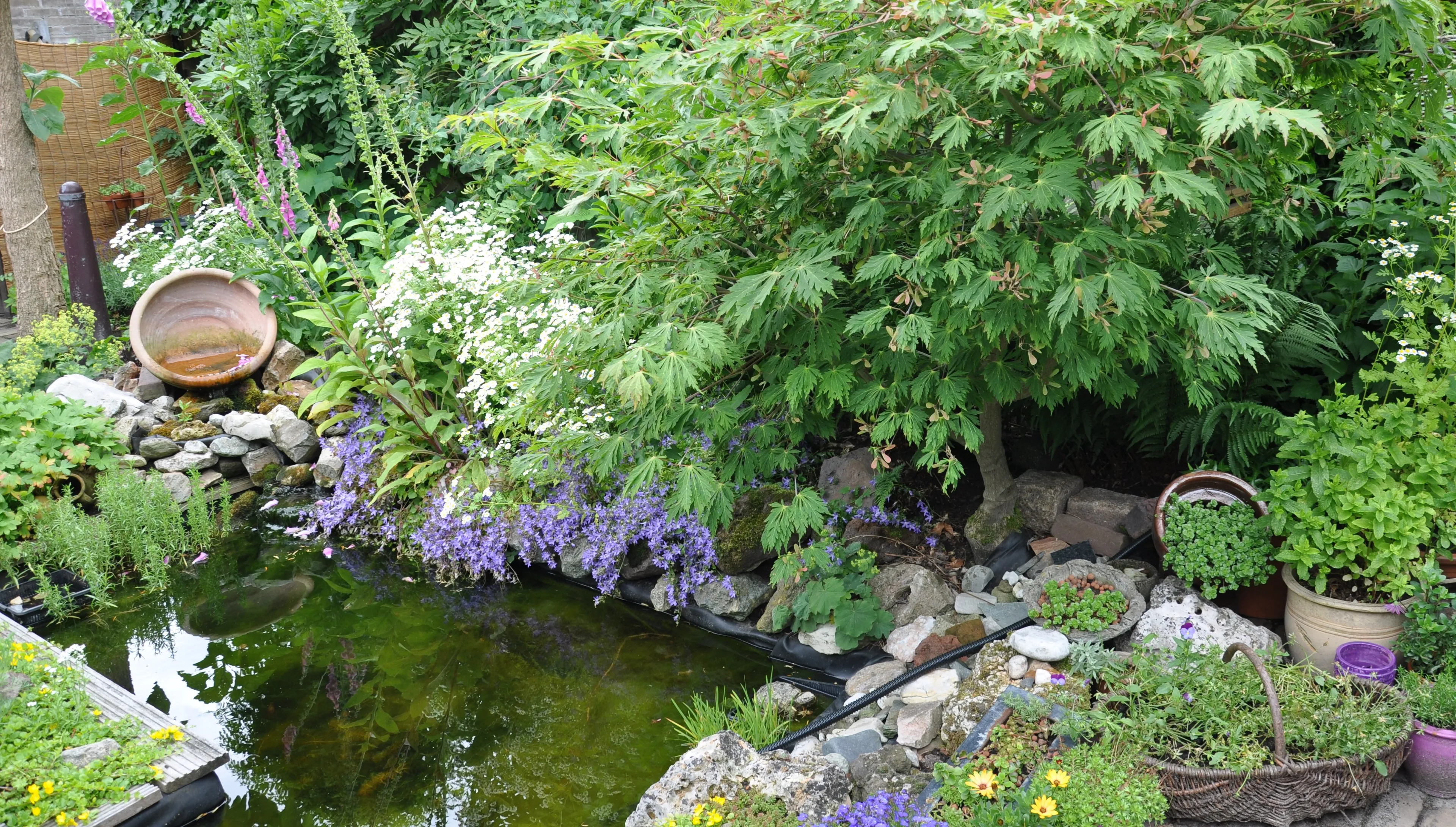 foto bij persbericht 2