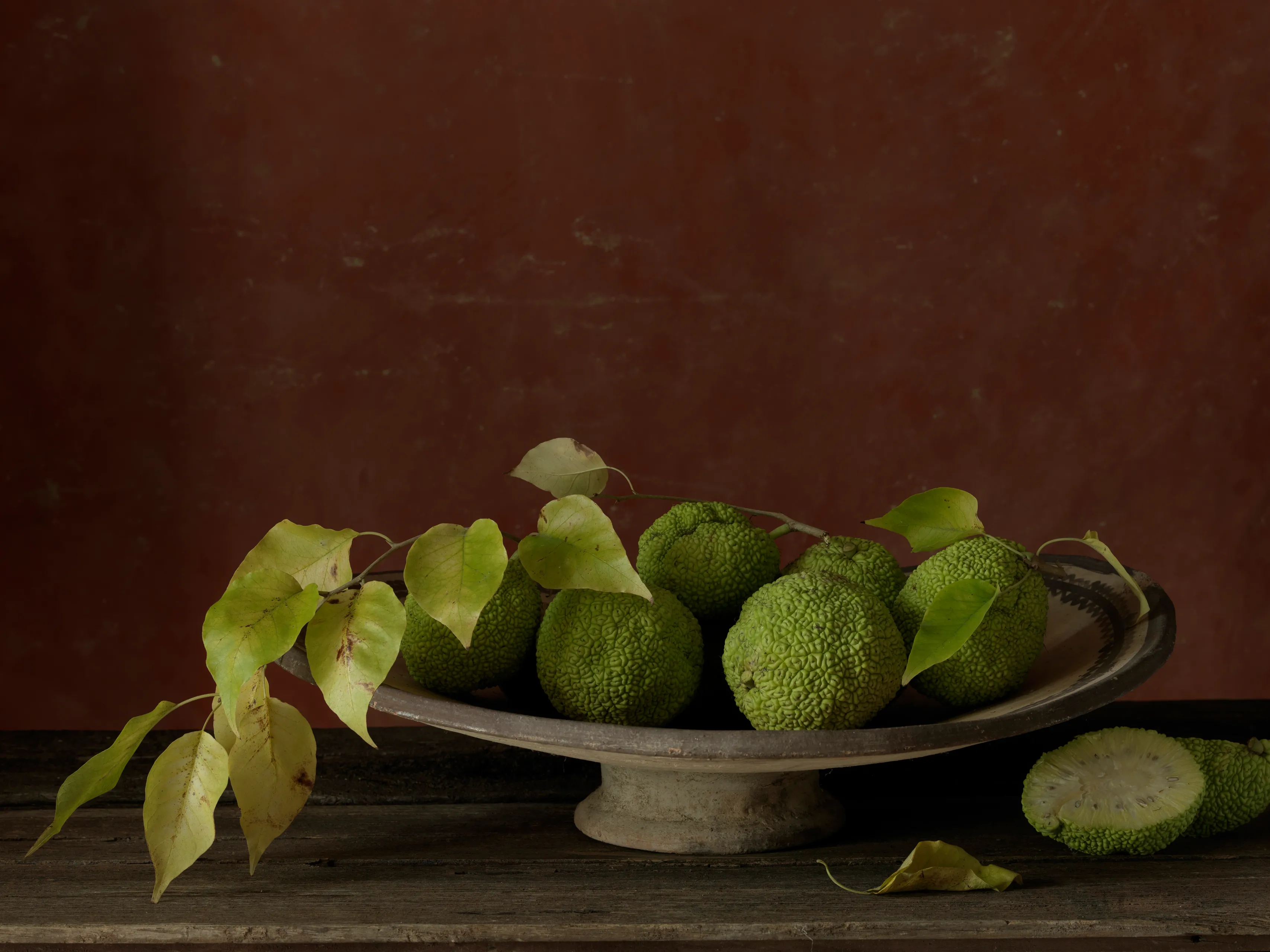 frank van driel total strangers tabula rasa italia 2018