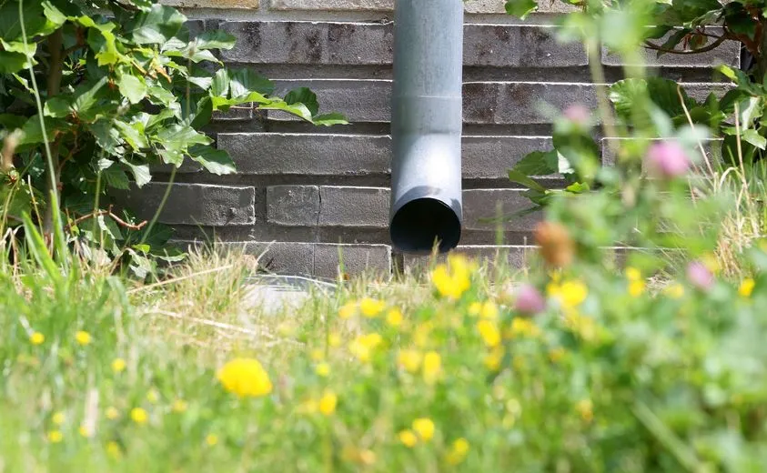 gemeente vught