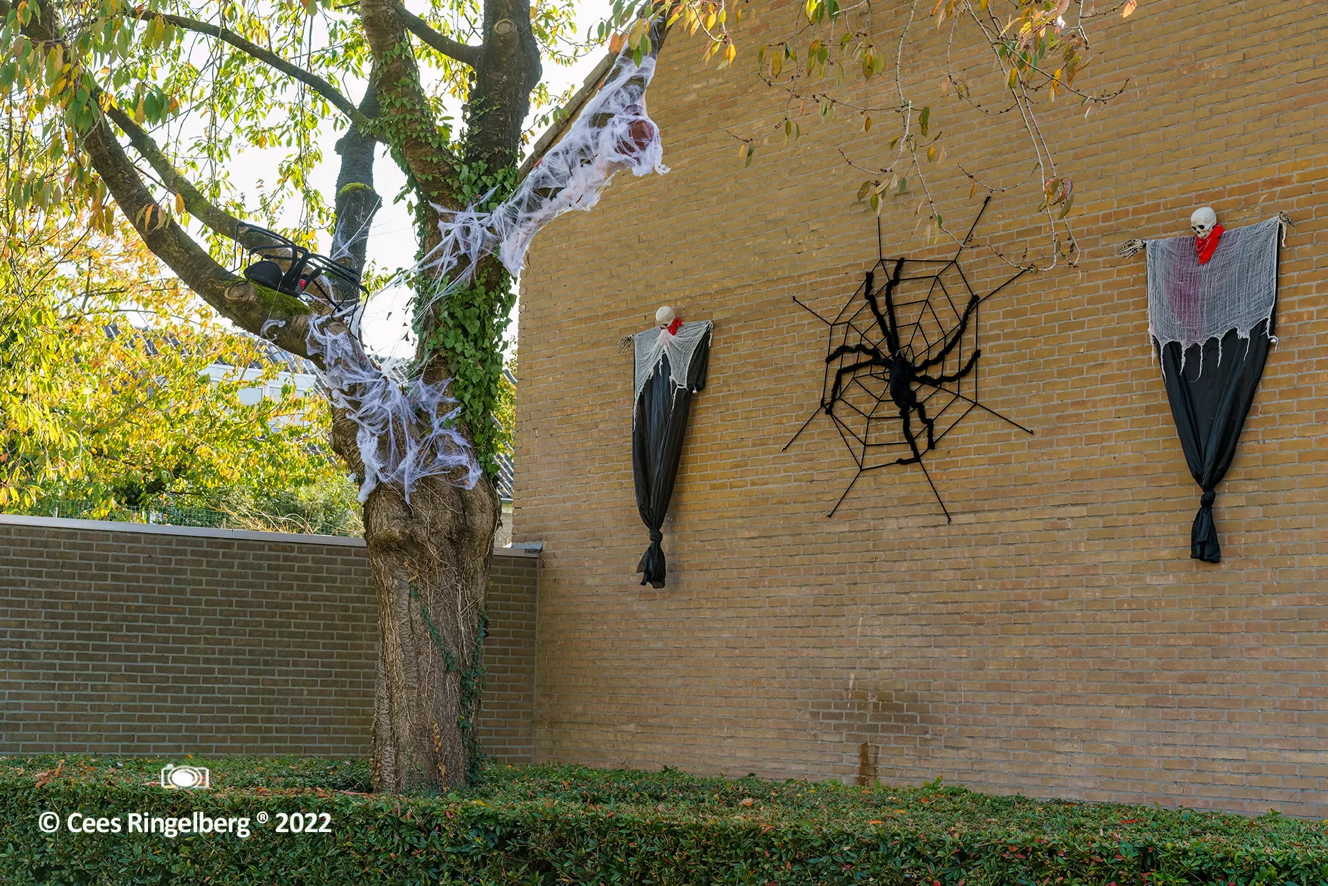 griezelen hageland 006