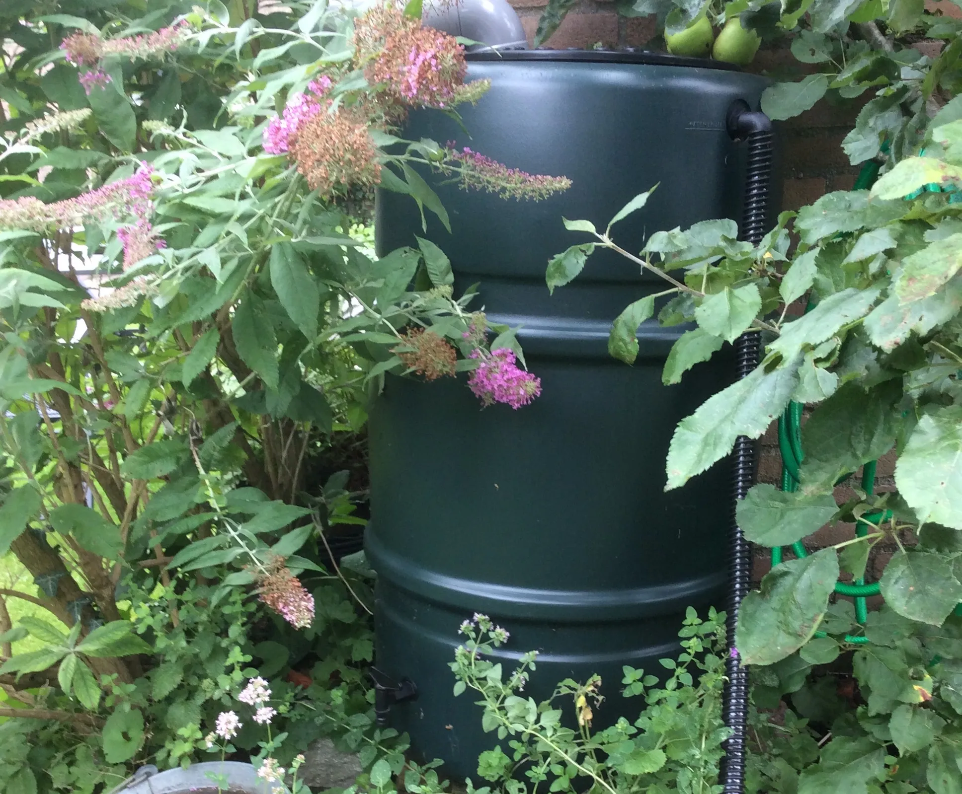 image1 2