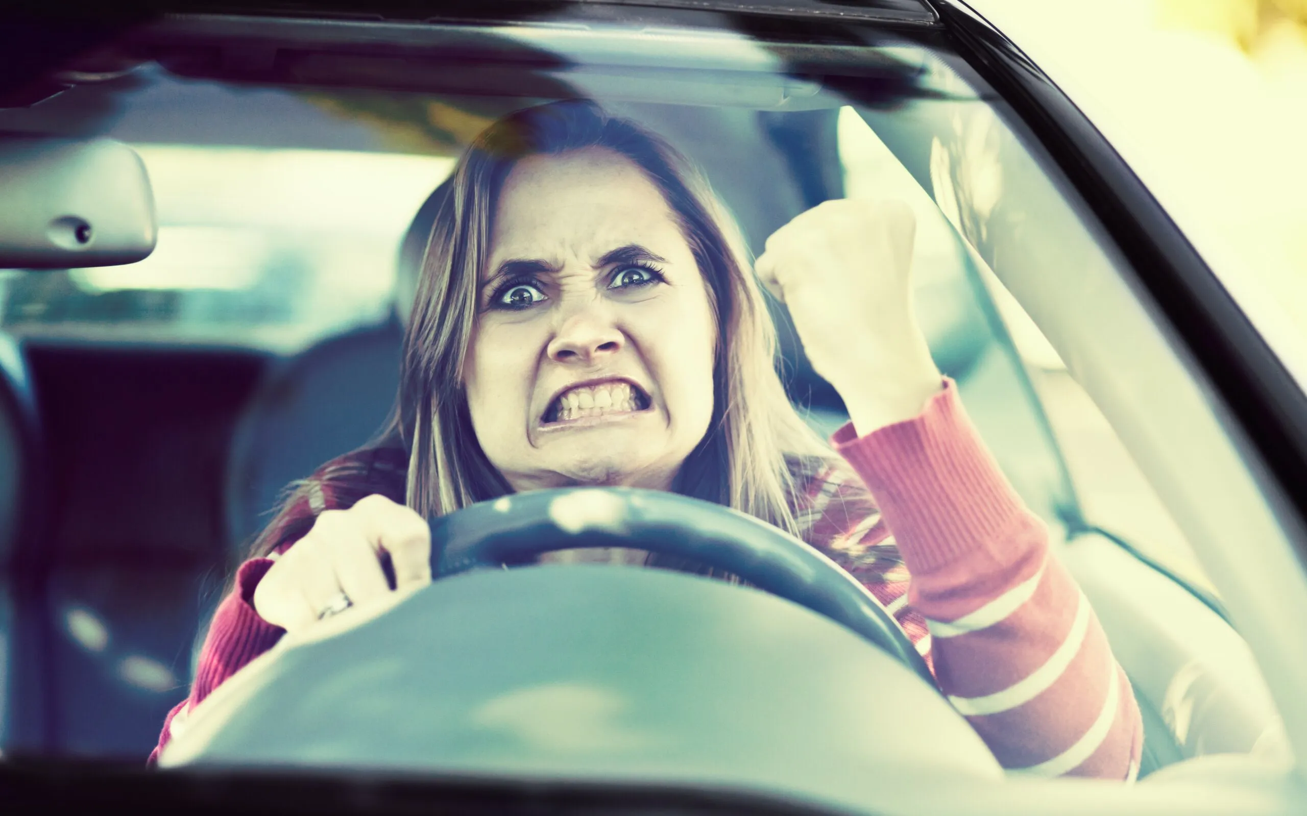 irritatie en agressie in het verkeer scaled