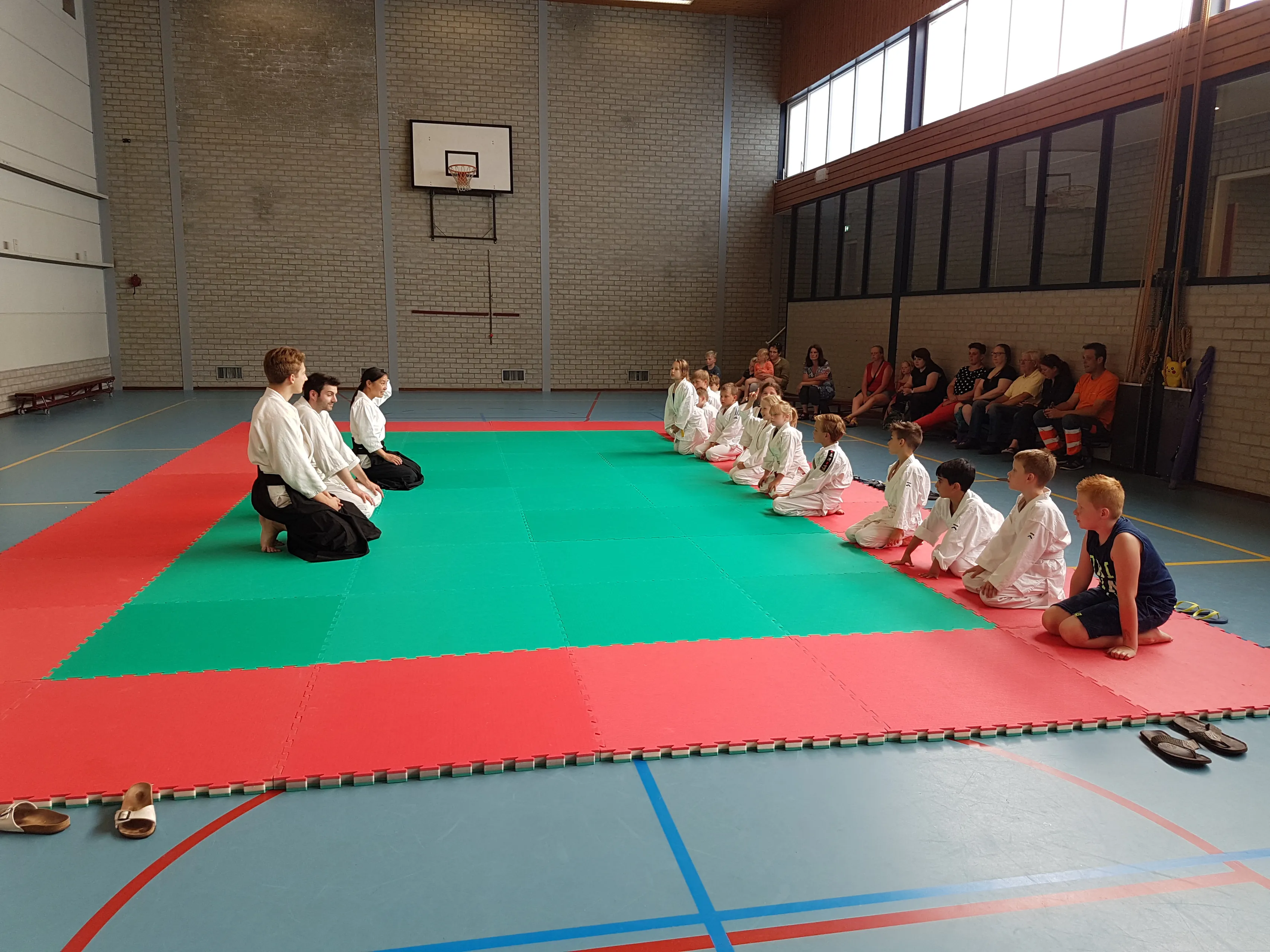 judo