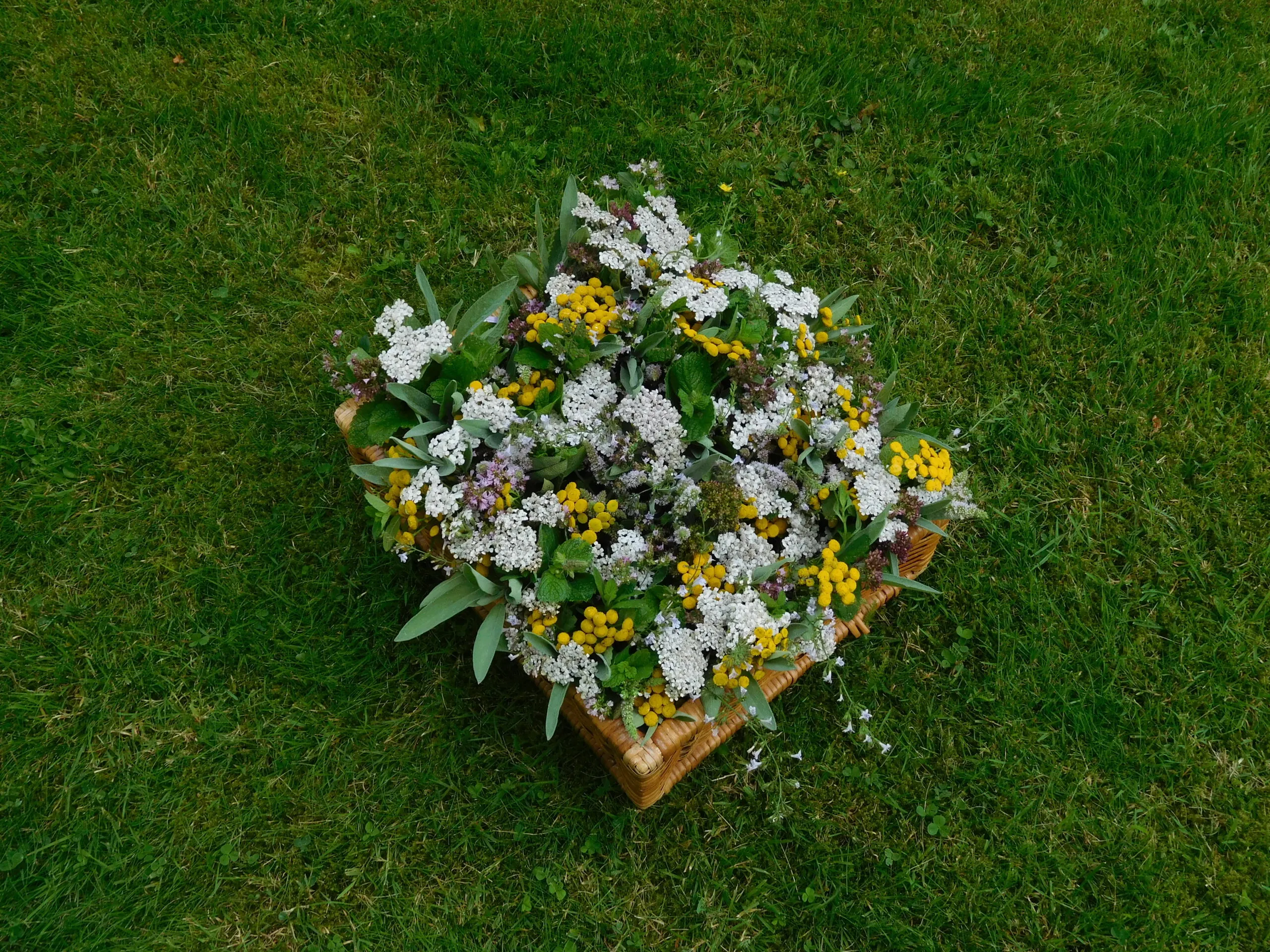 kruidenwijding 1 scaled